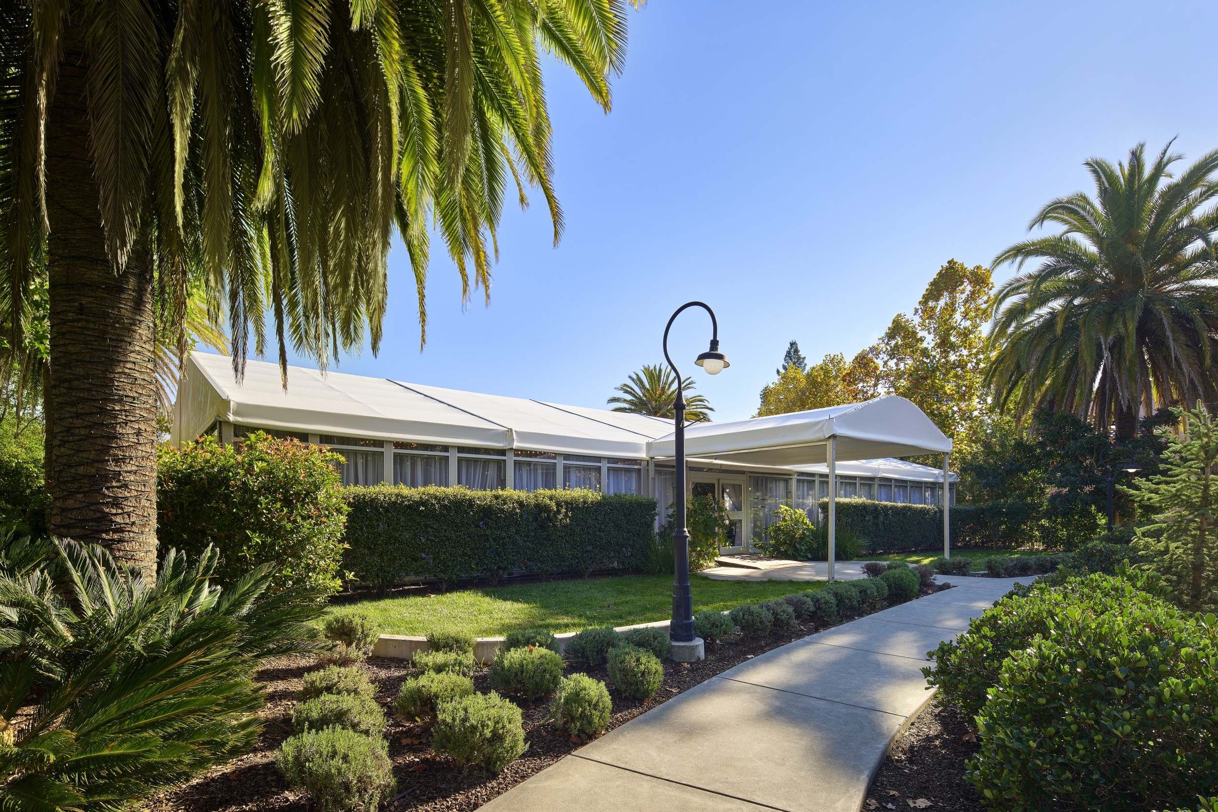 a white tent with a walkway and bushes
