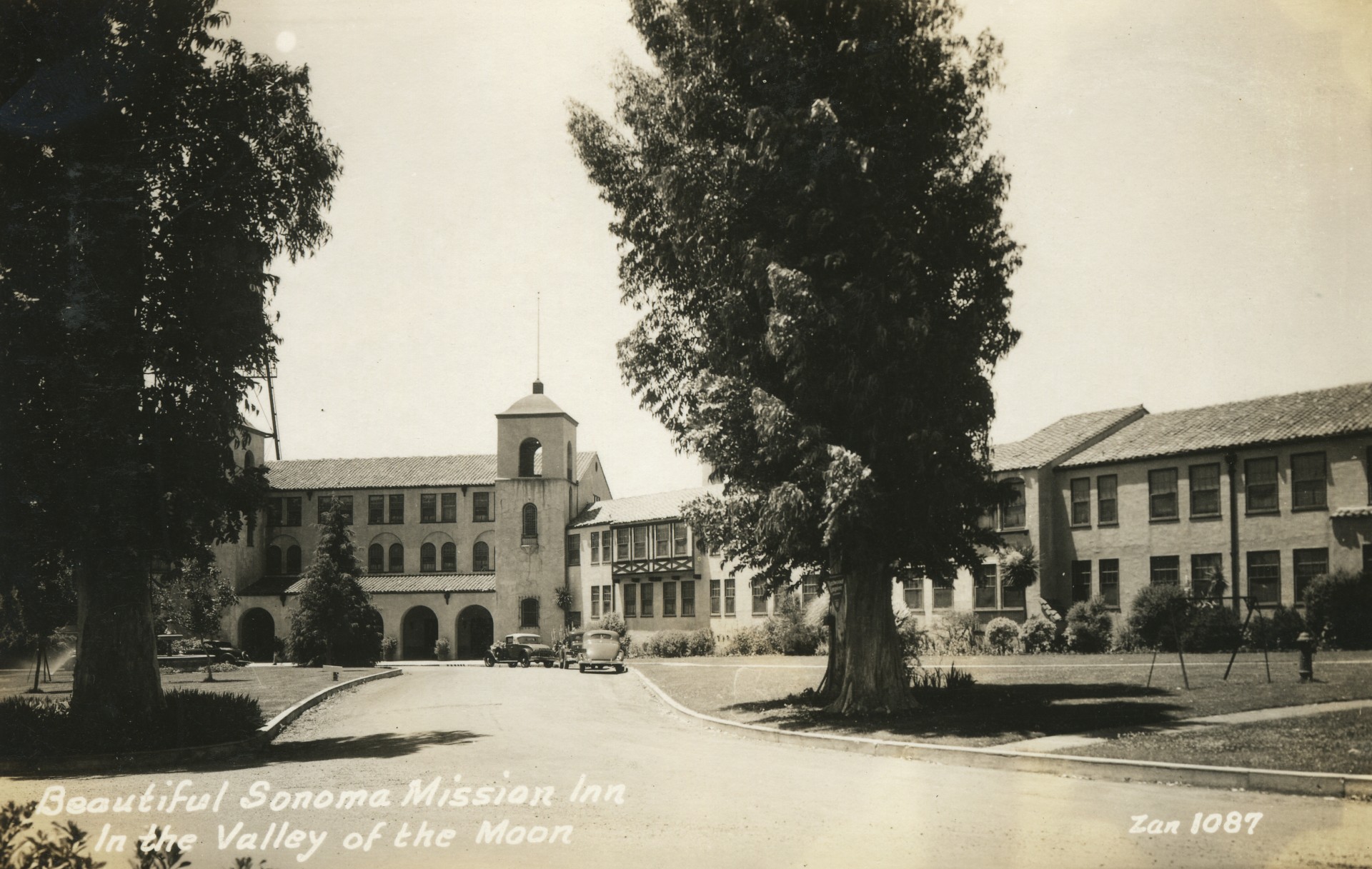 a building with a large tree in front of it