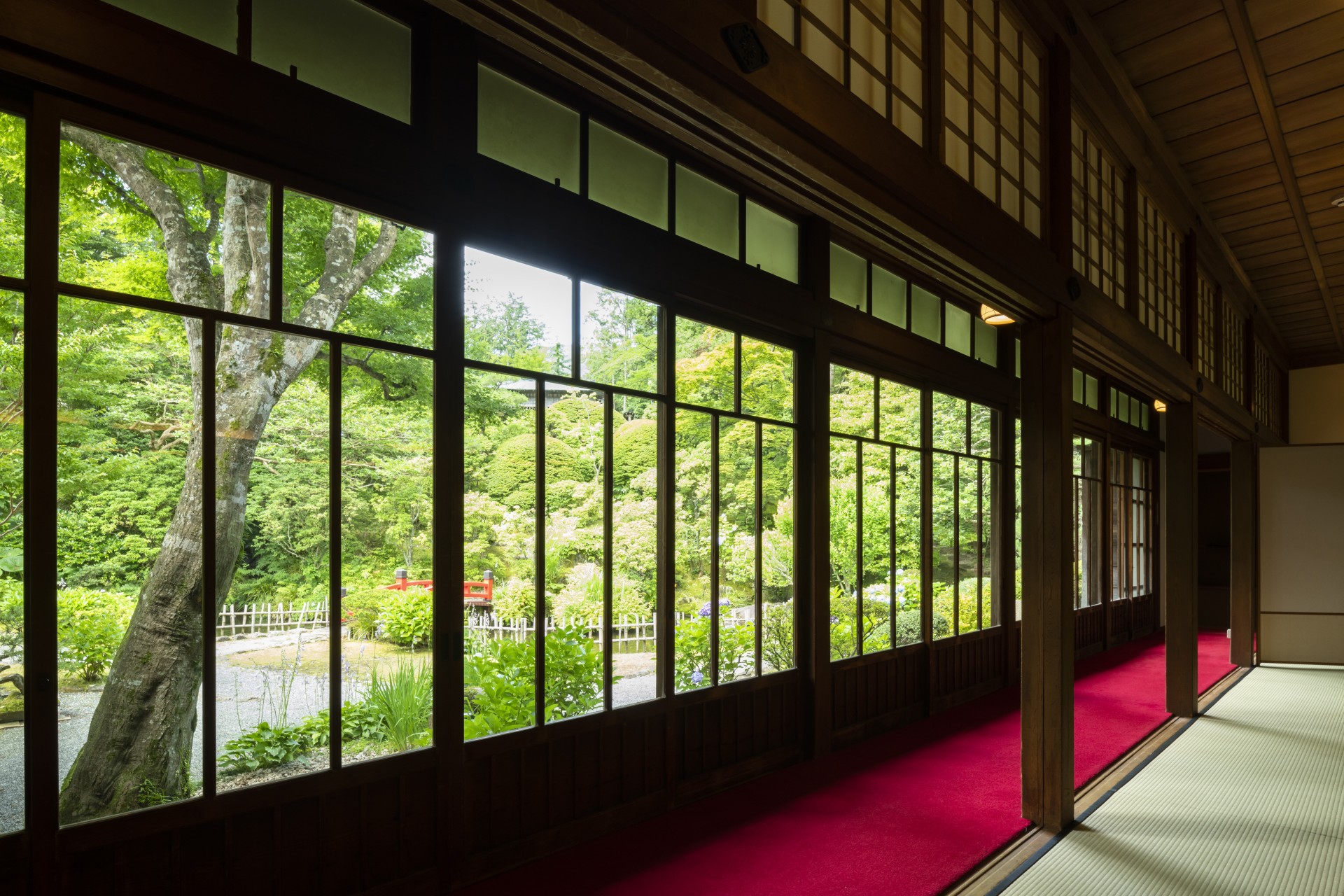 a room with a red carpet and windows