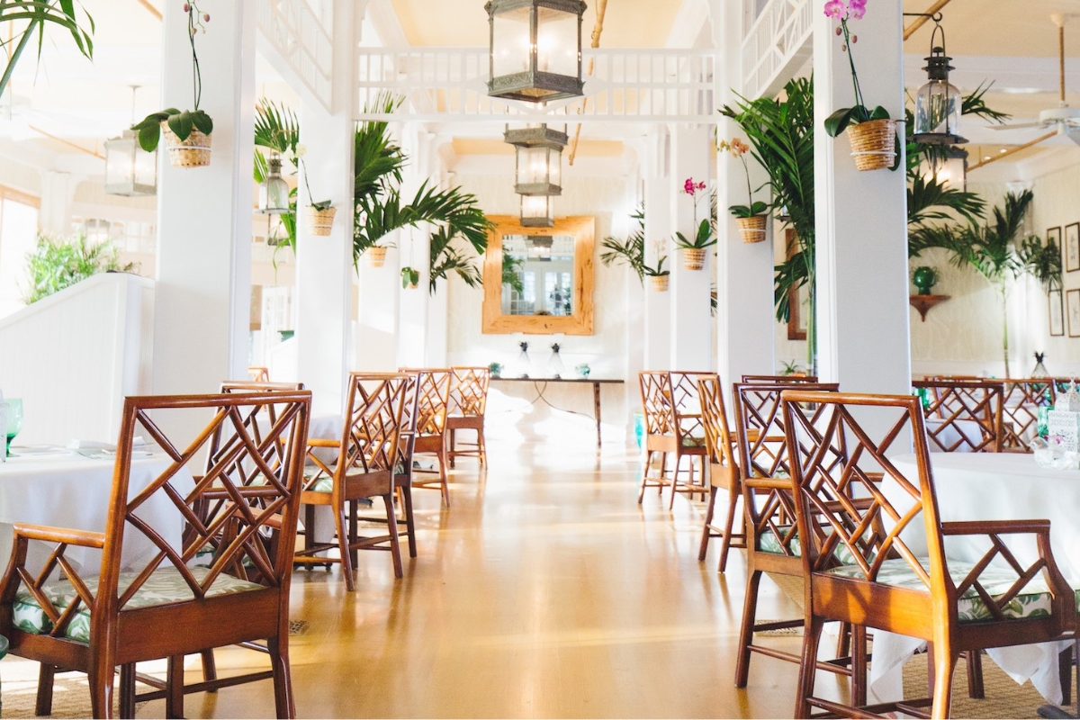 a room with chairs and plants