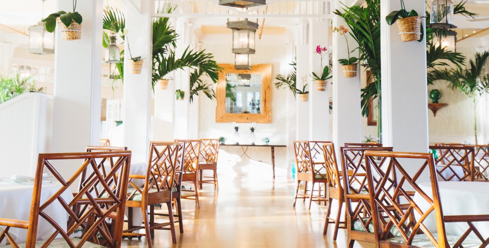 a room with chairs and plants