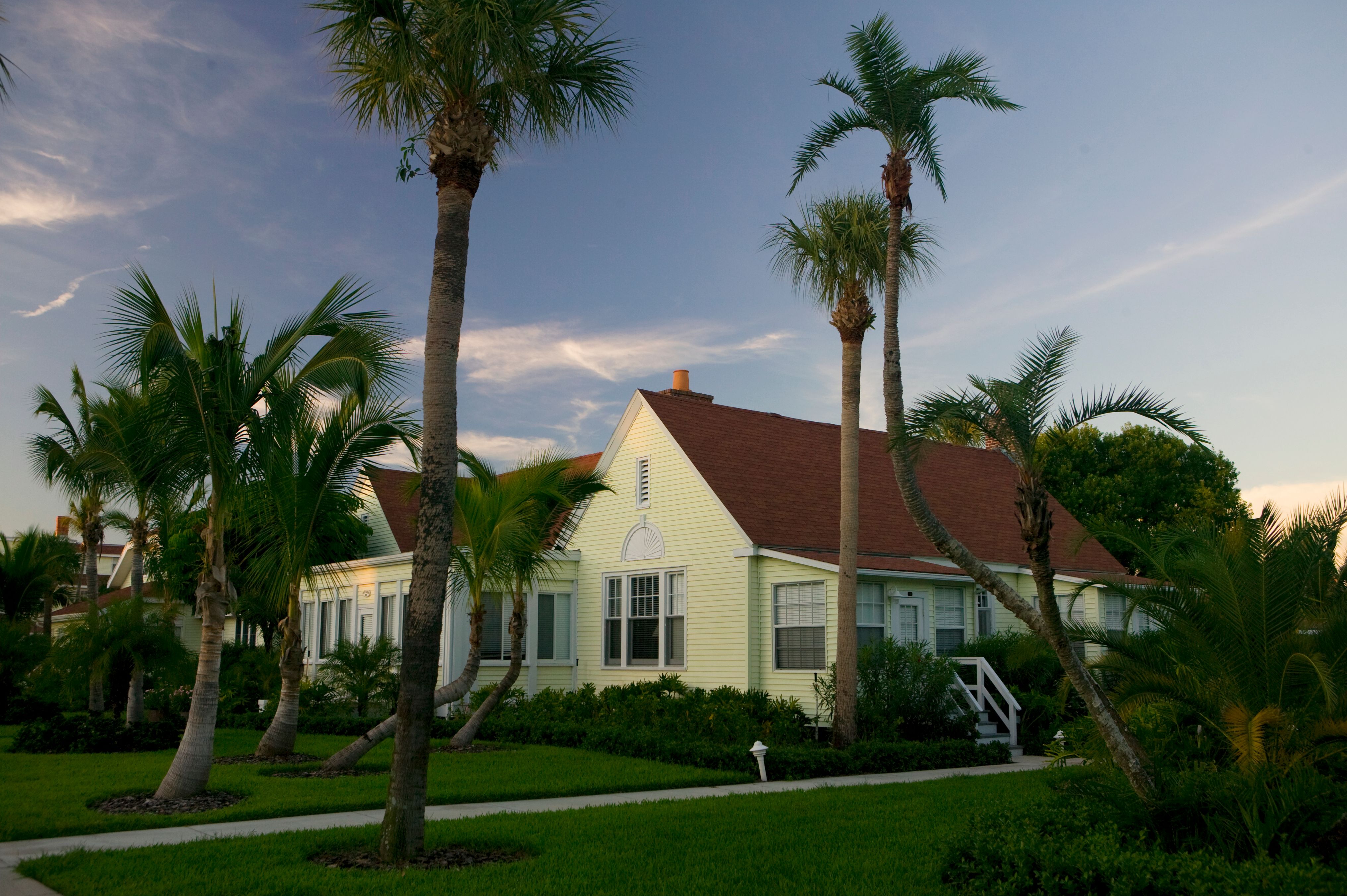 a house with palm trees and a lawn
