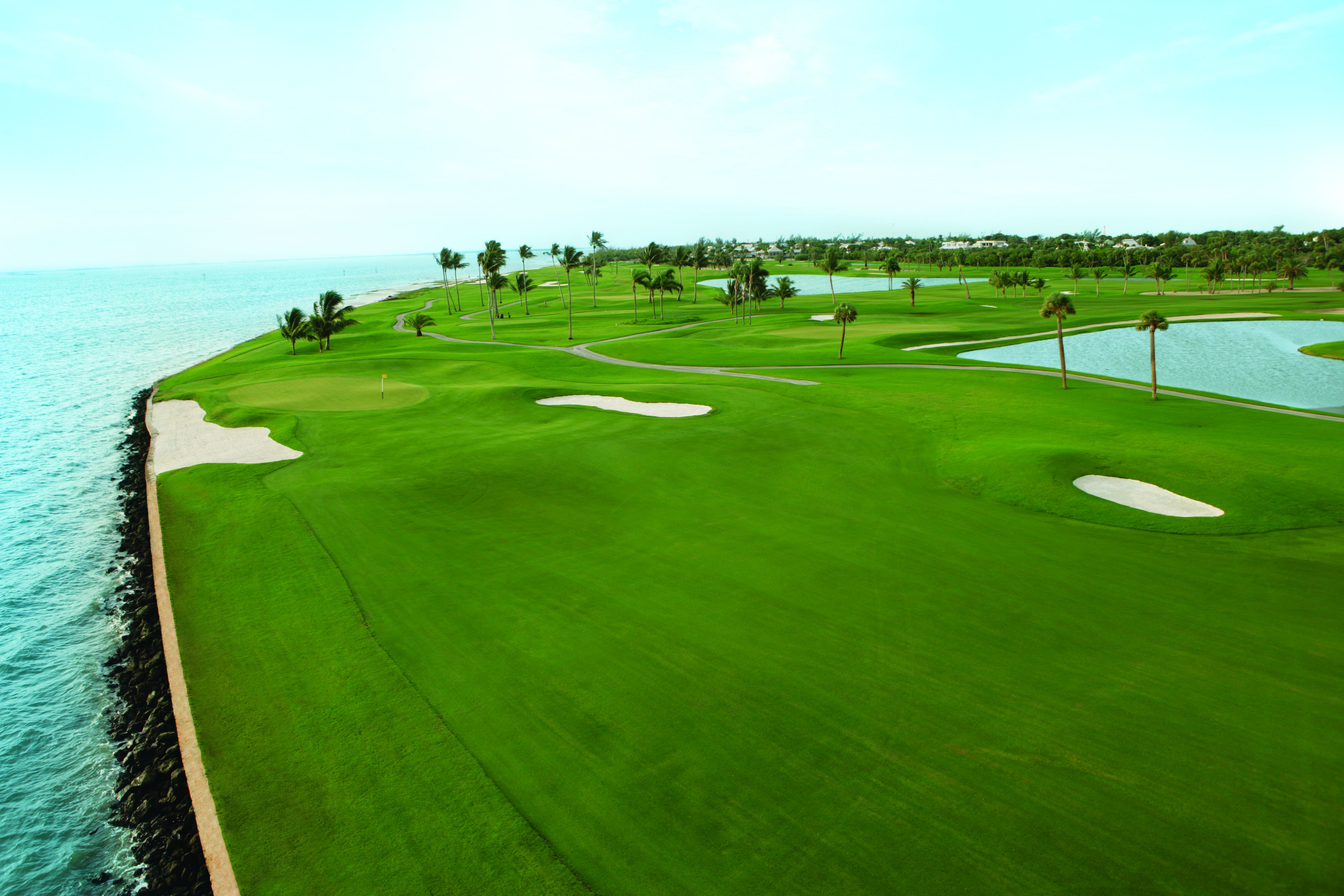 a golf course with palm trees and water