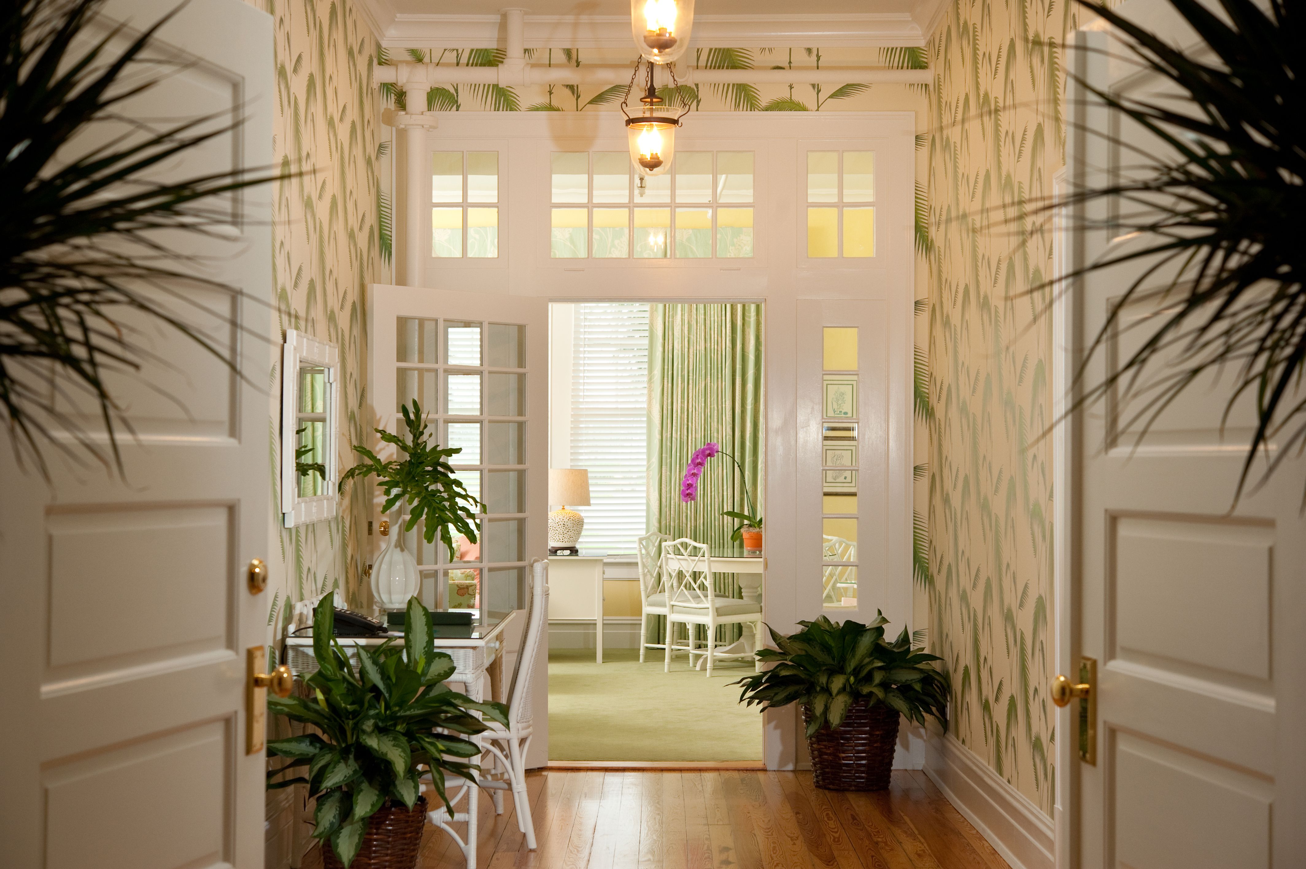 a room with plants in pots
