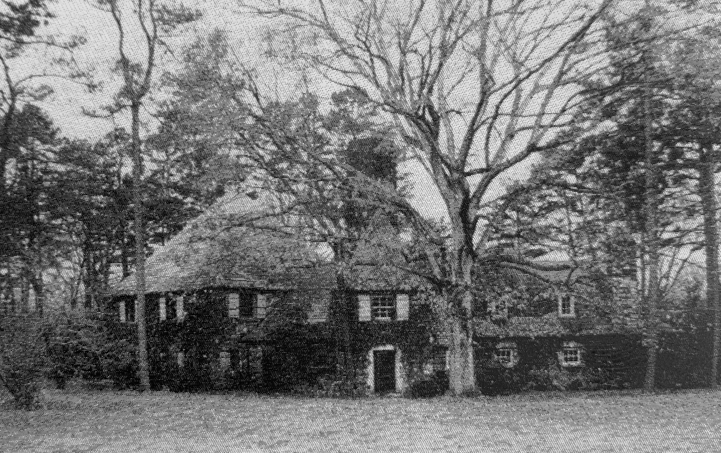 a house with trees in the background