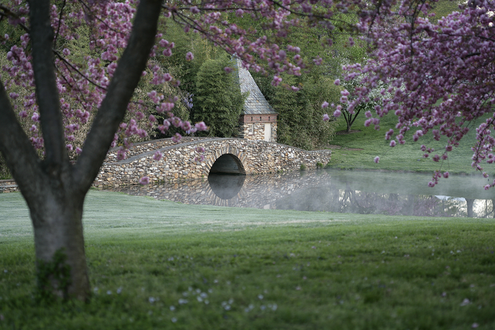 a bridge over a pond with pink flowers
