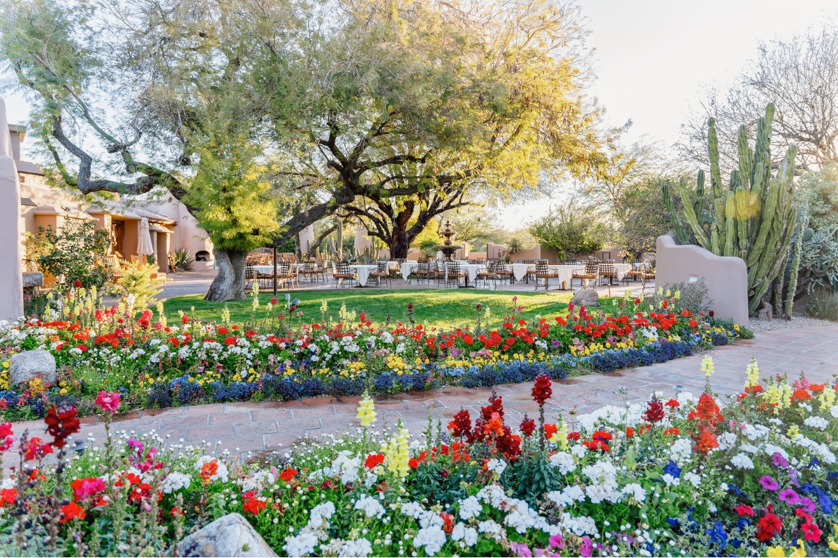 a garden with flowers and a tree