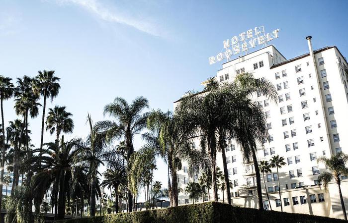 a hotel with palm trees