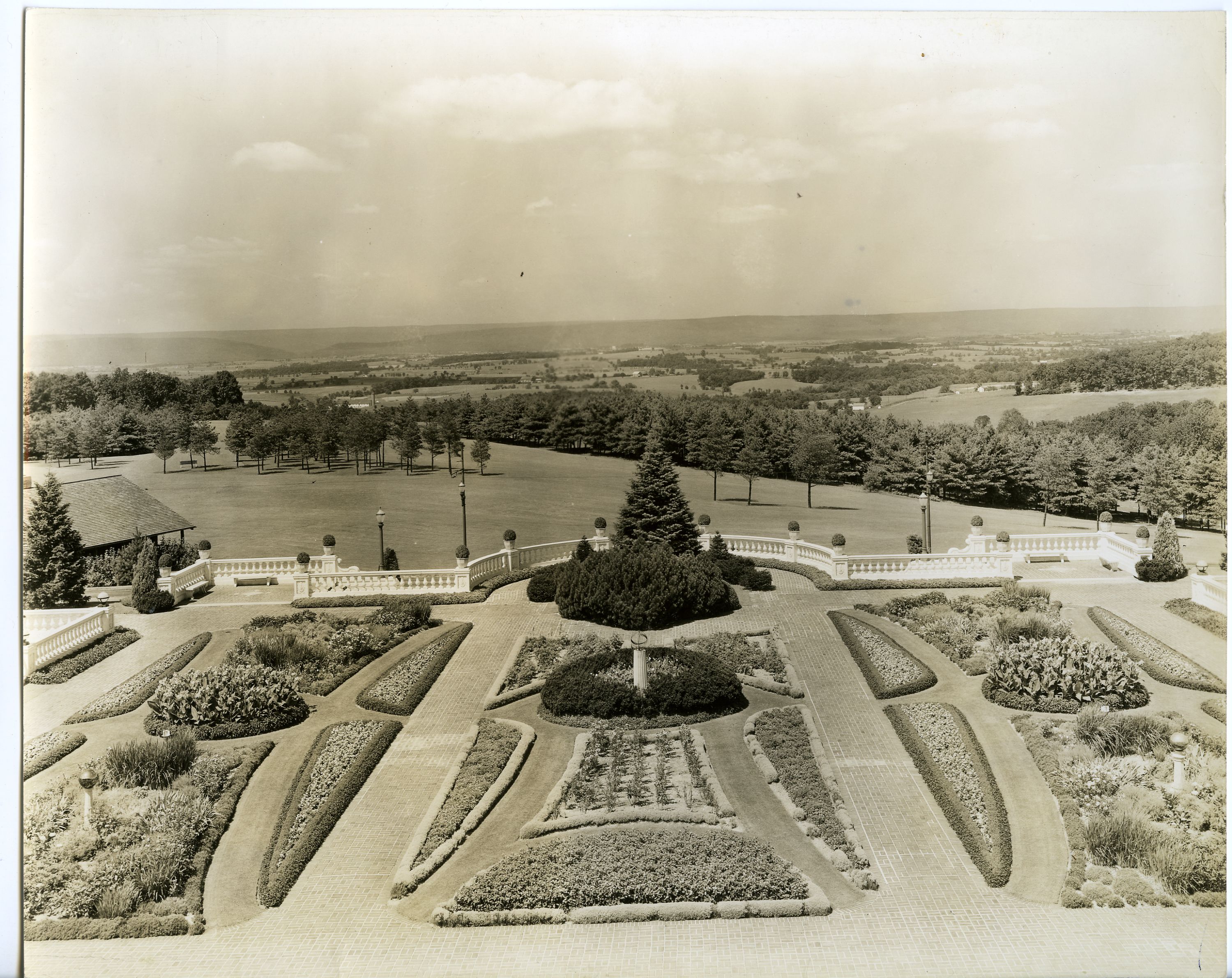 a garden with trees and a fence