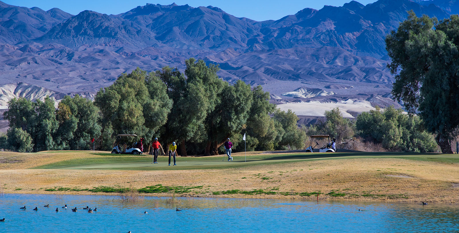 a group of people playing golf