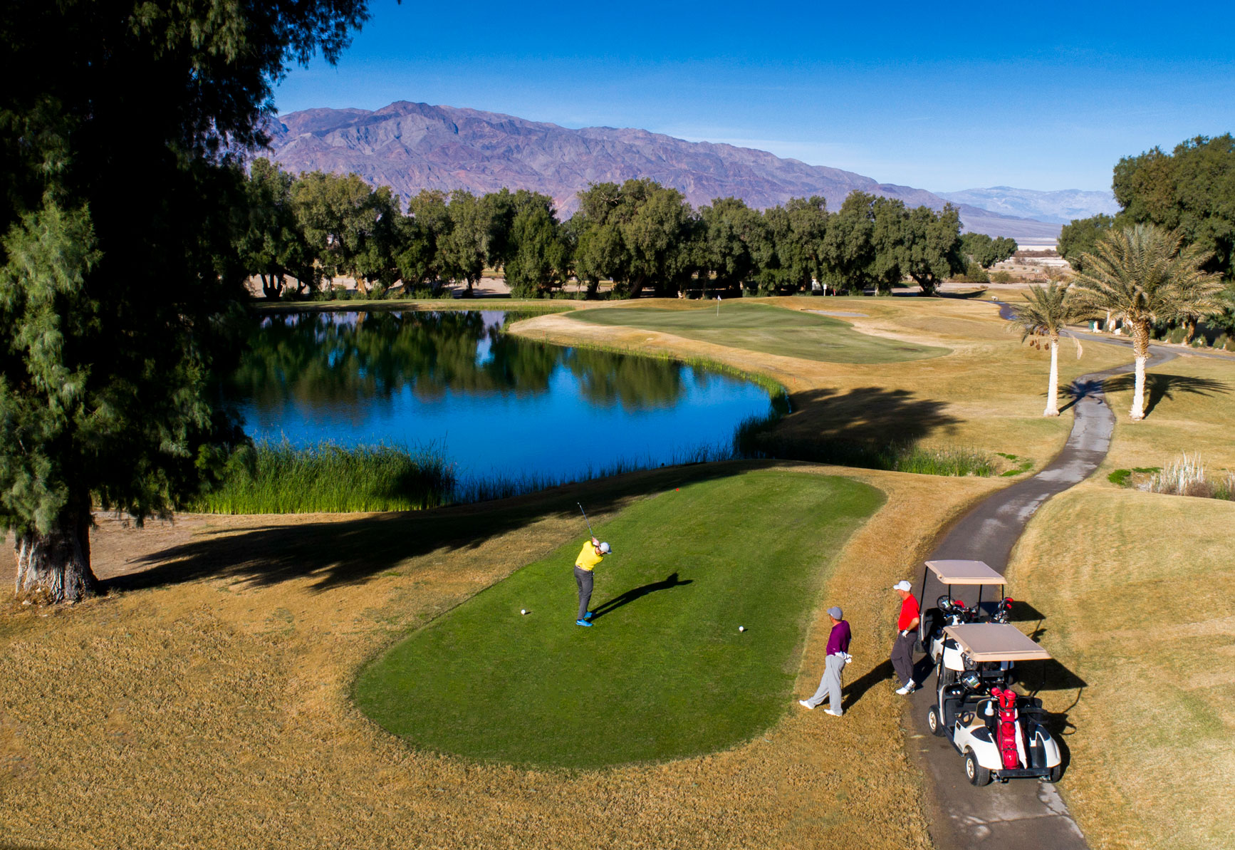a group of people playing golf