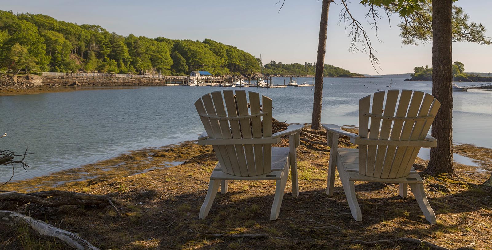 a couple of chairs on a beach