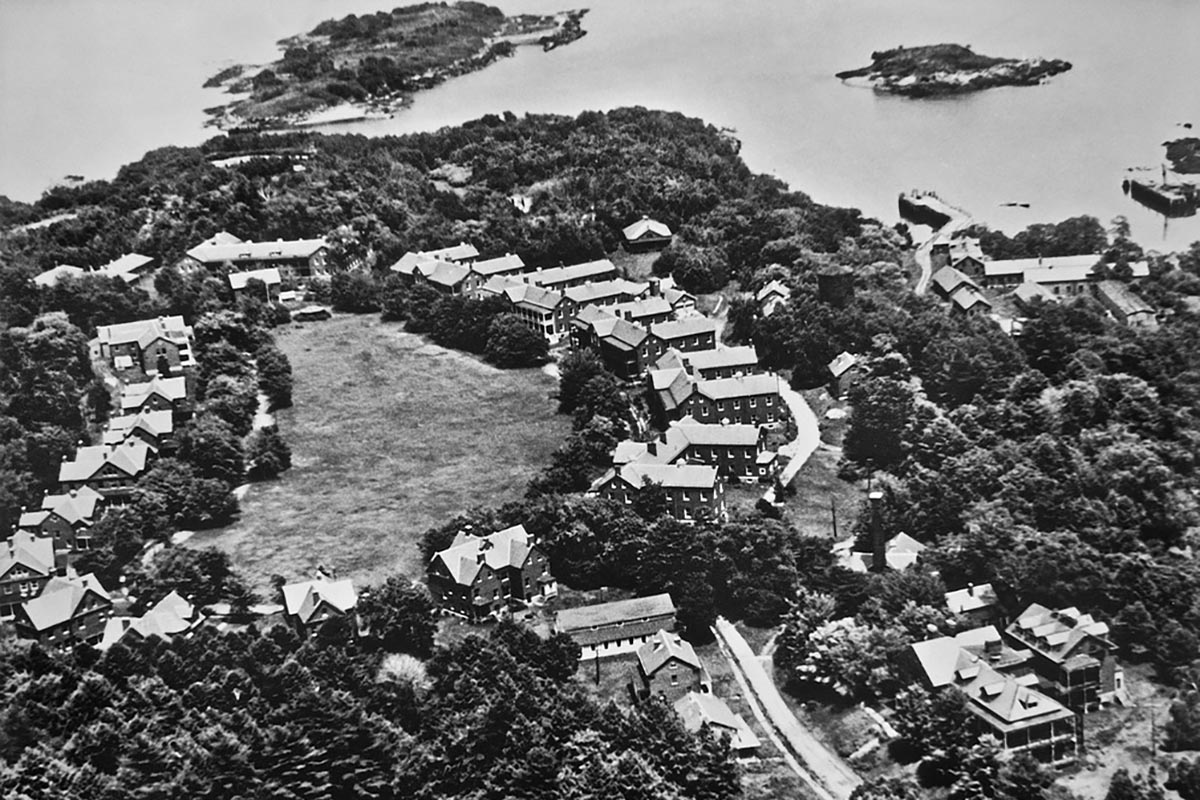 an aerial view of a village surrounded by trees