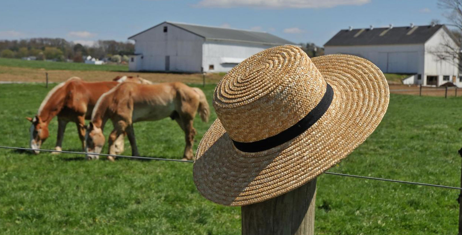 1600x813 amish experience inn at leola village leola pennsylvania