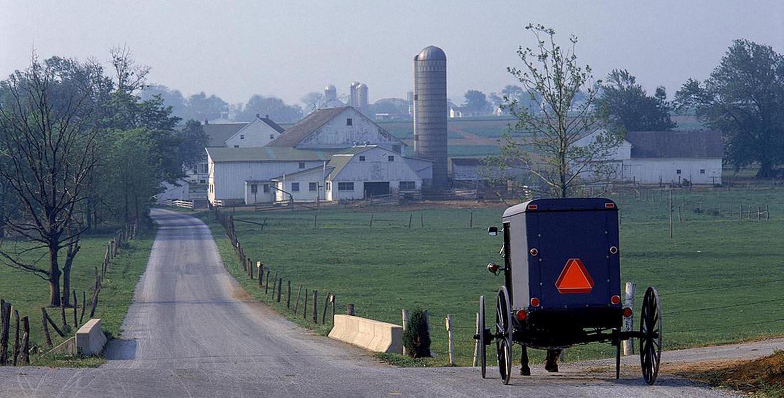 mdtlv masthead amish20buggy opy