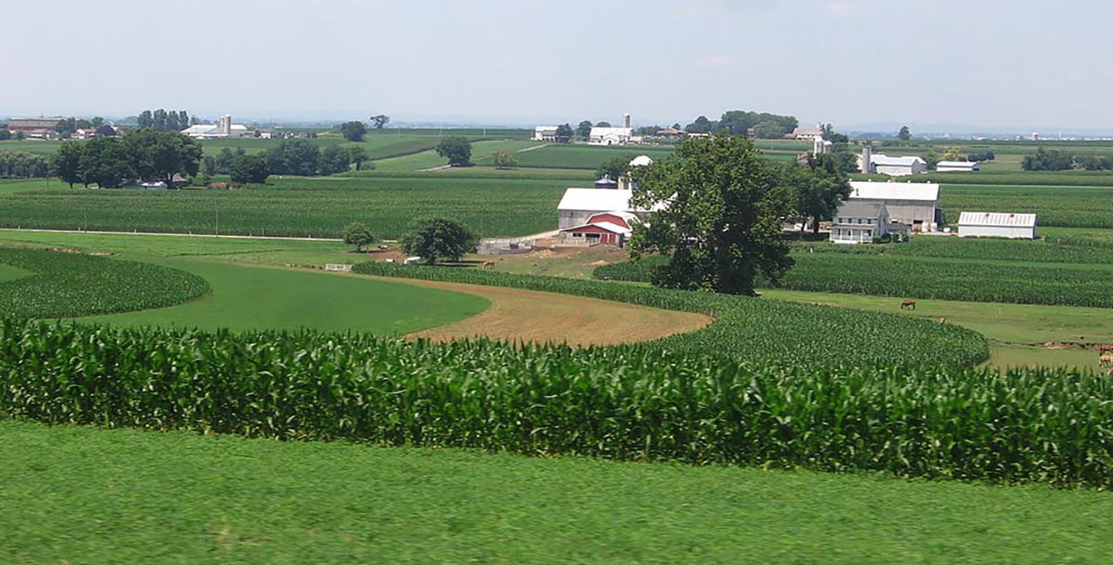 overviewpenn__amish_farmscc