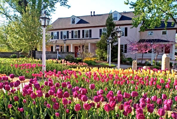 a house with many flowers