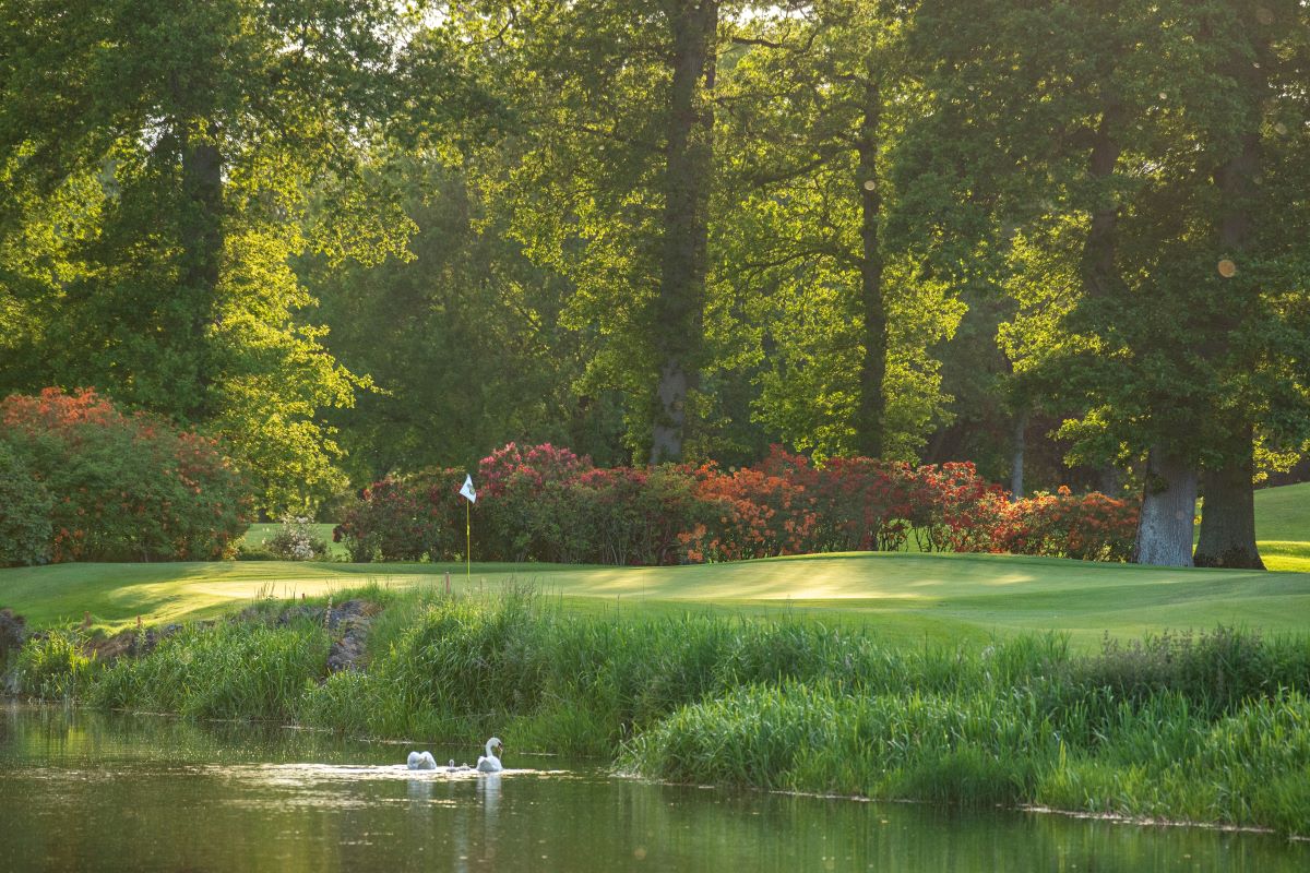 a golf course with a lake and trees