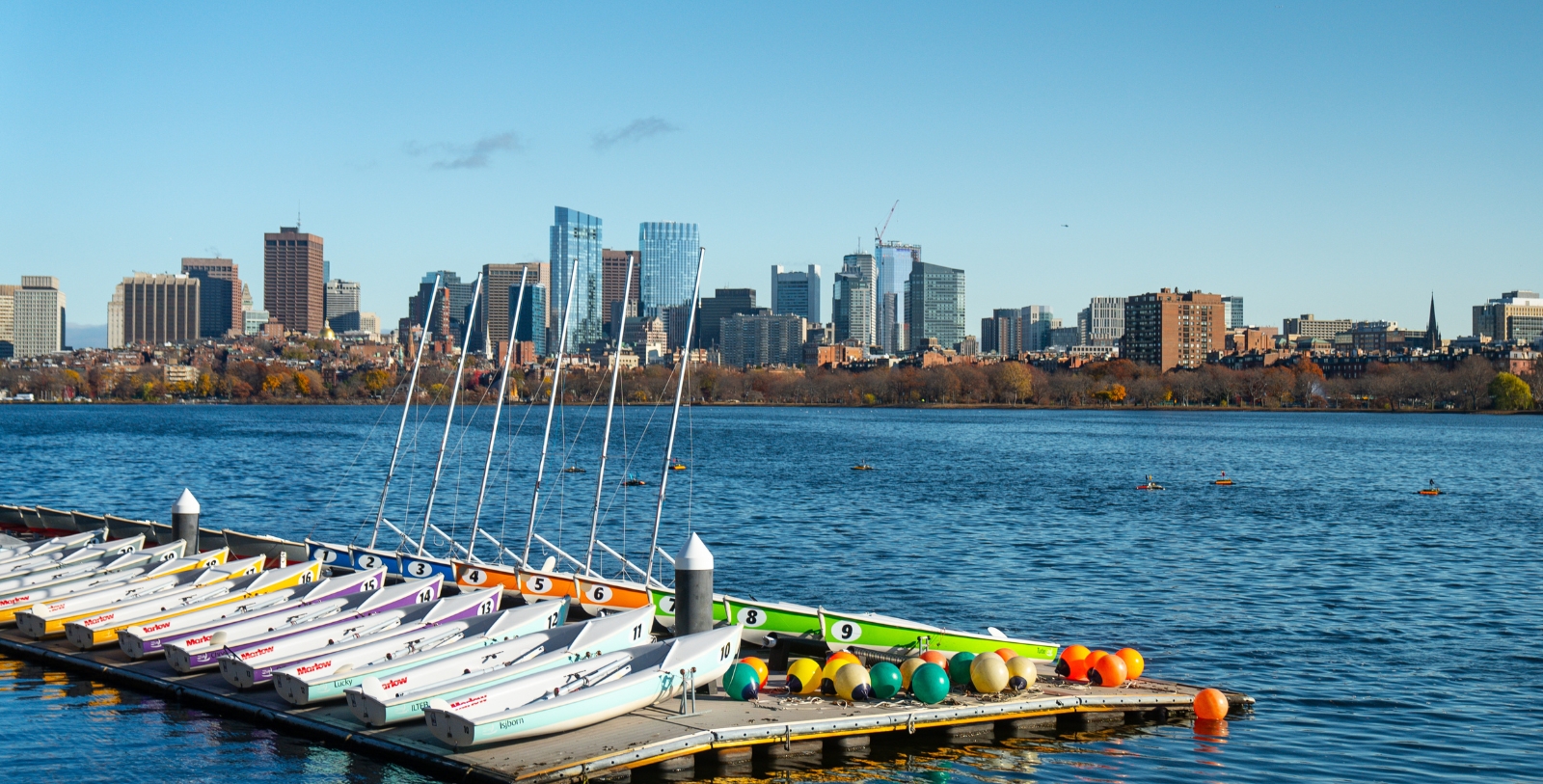 boats on a dock with a city in the background