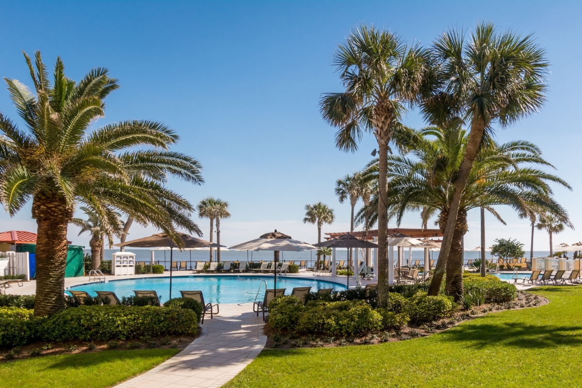 a pool with palm trees and umbrellas