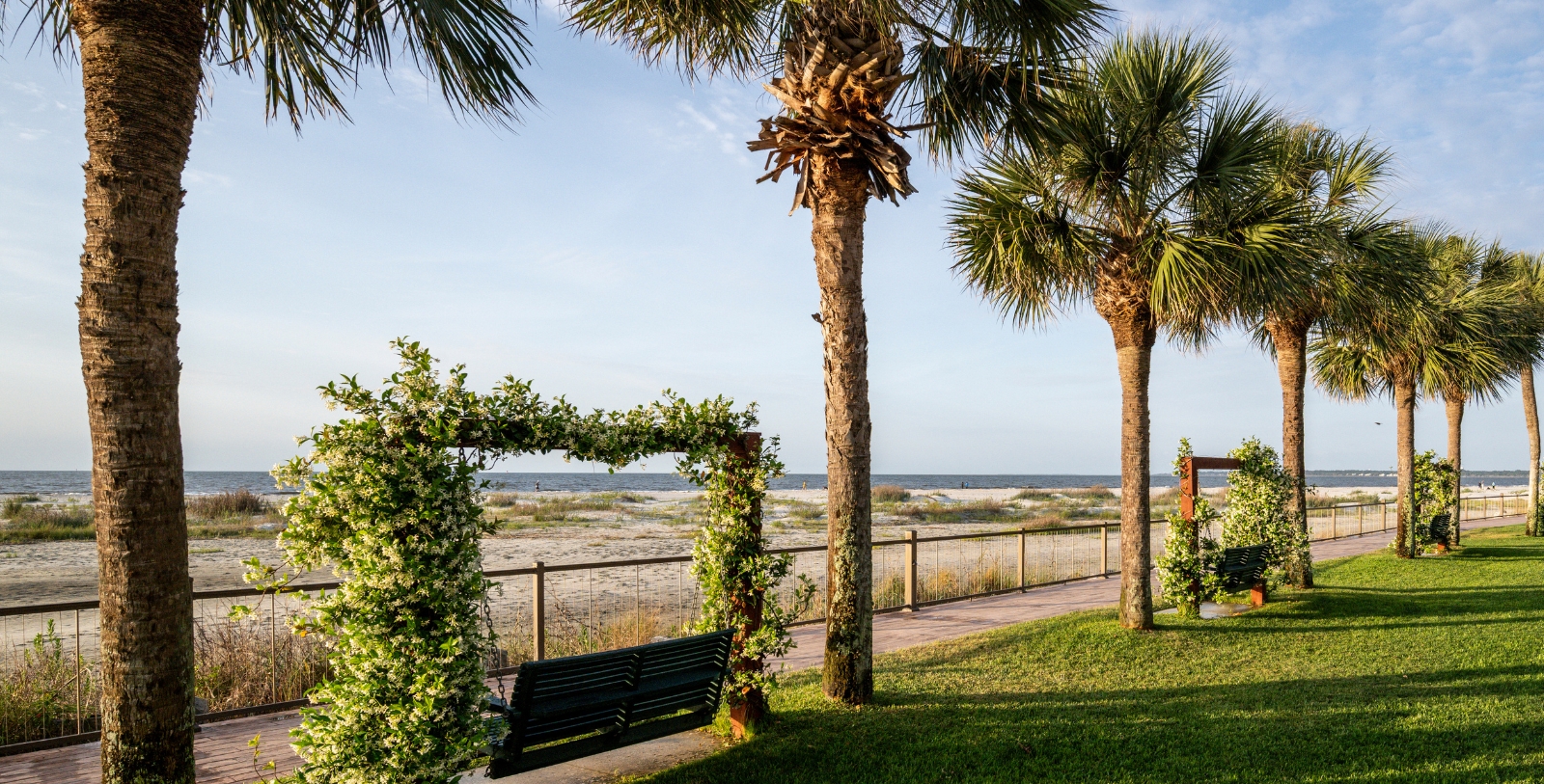 a bench and palm trees by a beach