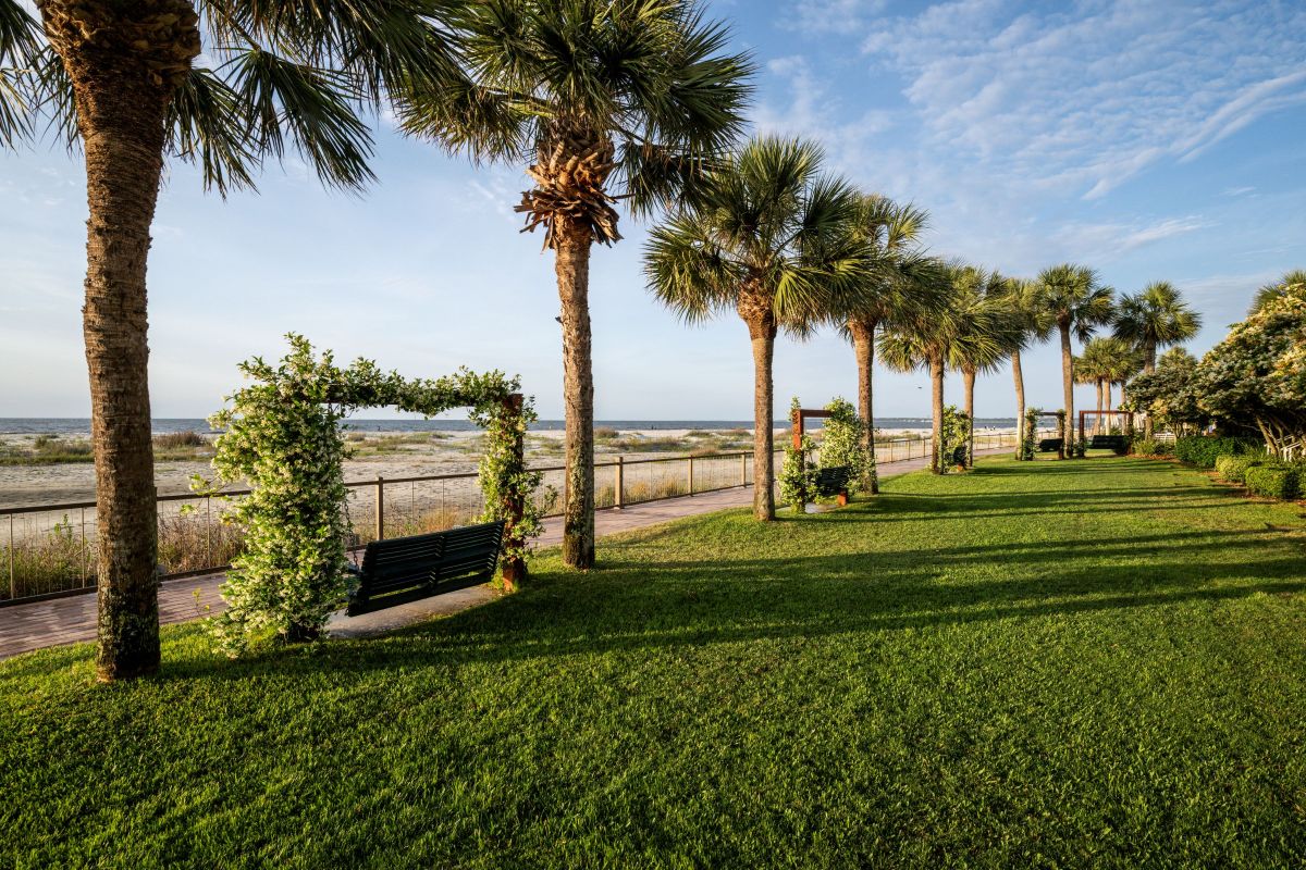 a park with palm trees and a fence