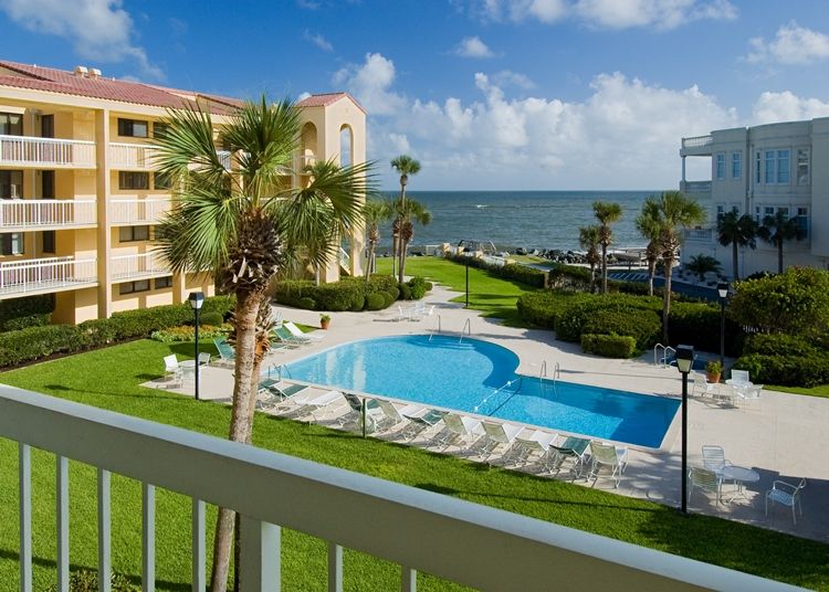 a pool and palm trees by a building