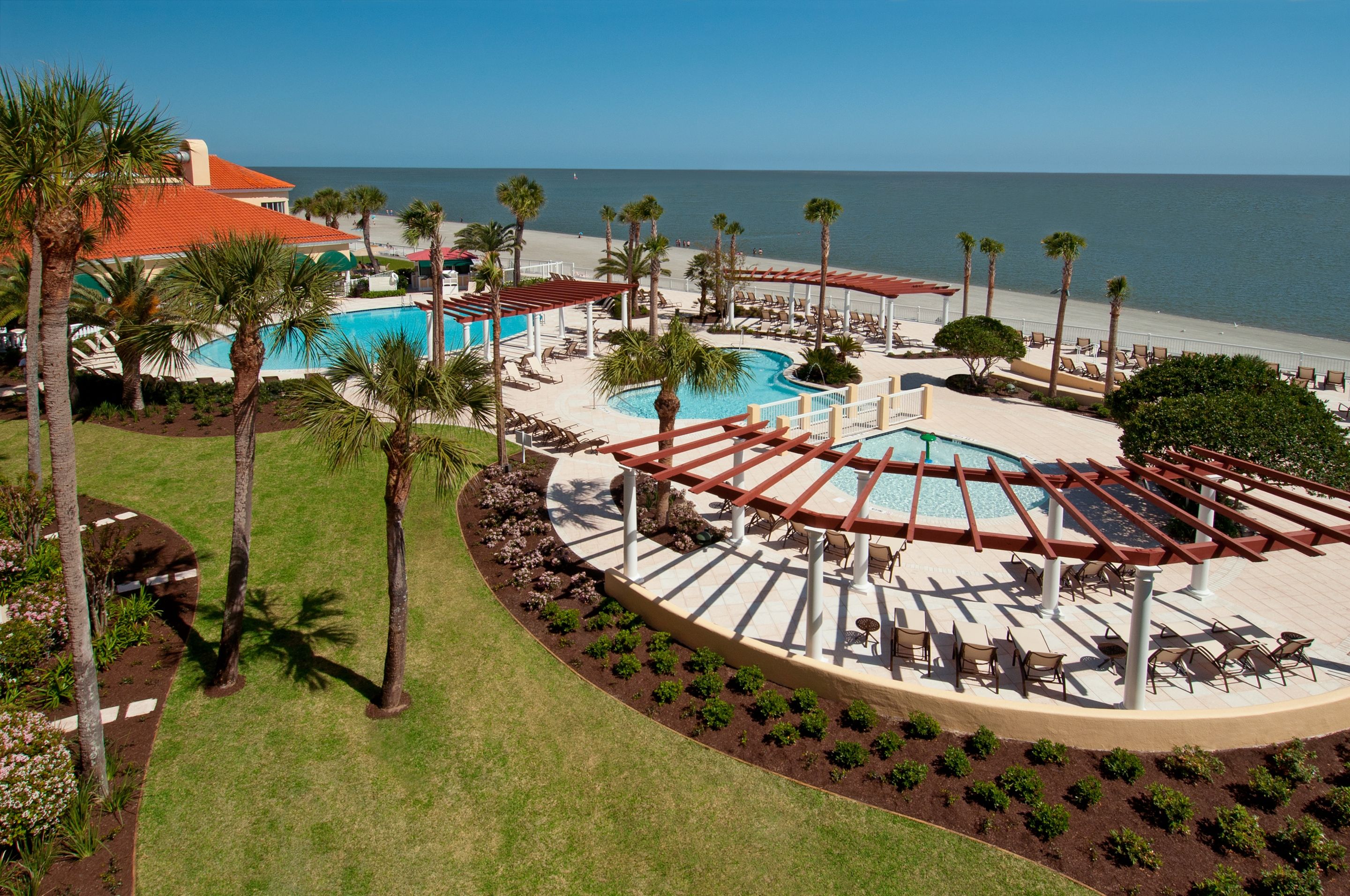 a pool and palm trees by a beach