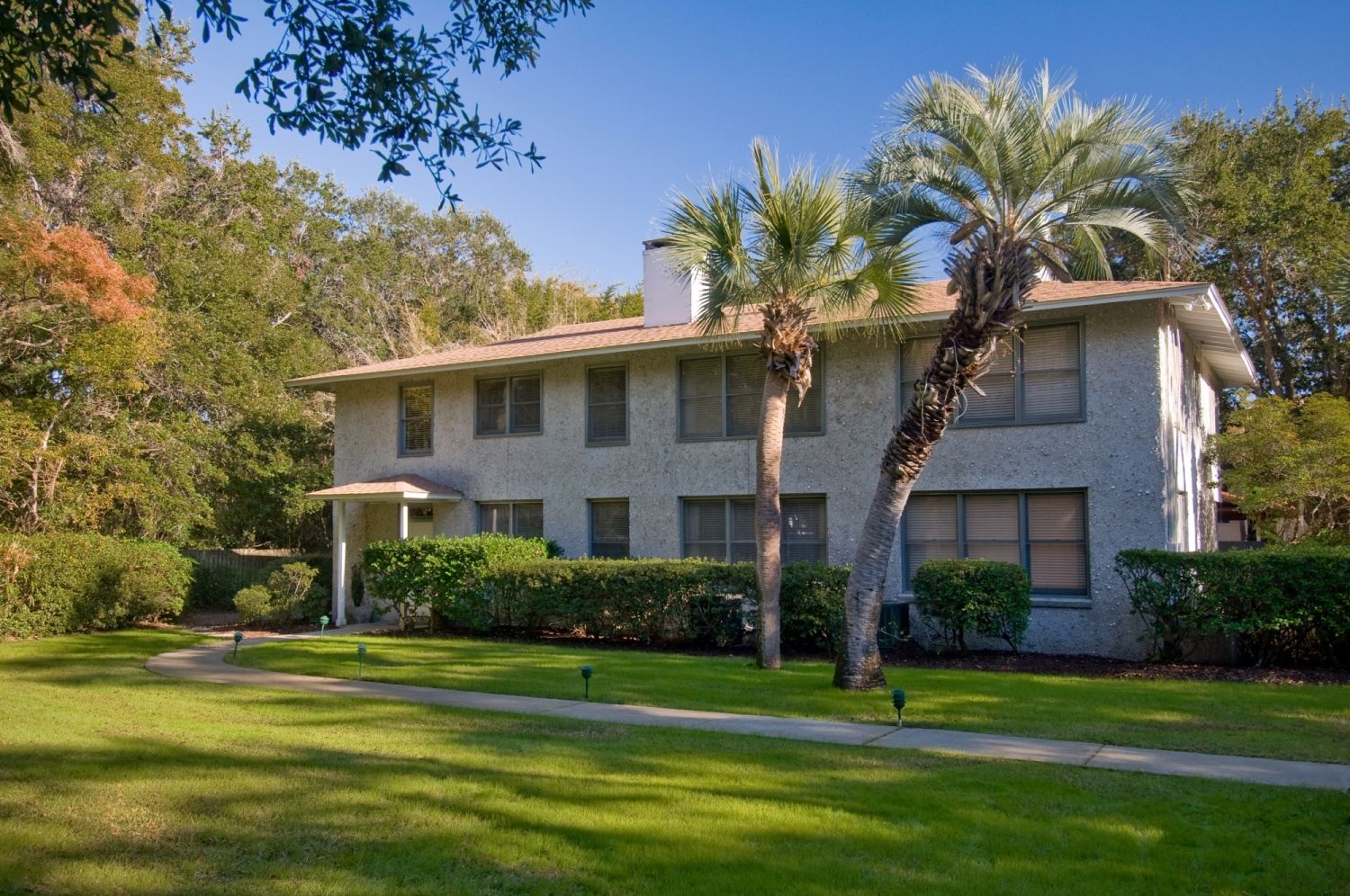 a house with palm trees and lawn