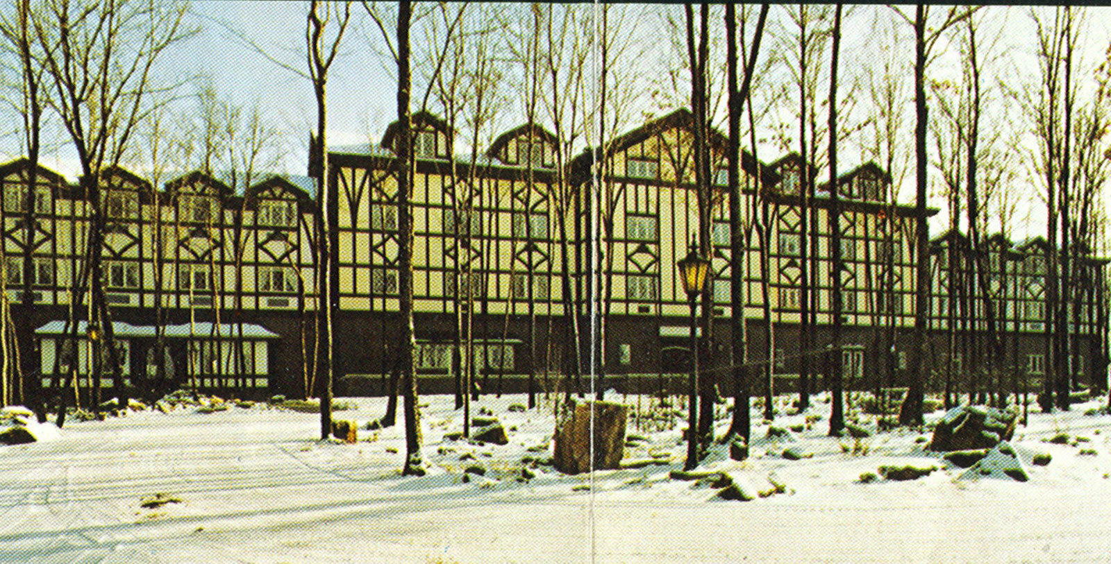 a building with trees in the snow