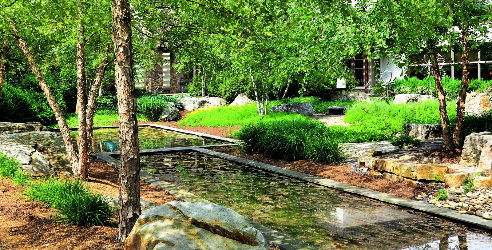 a pond in a garden