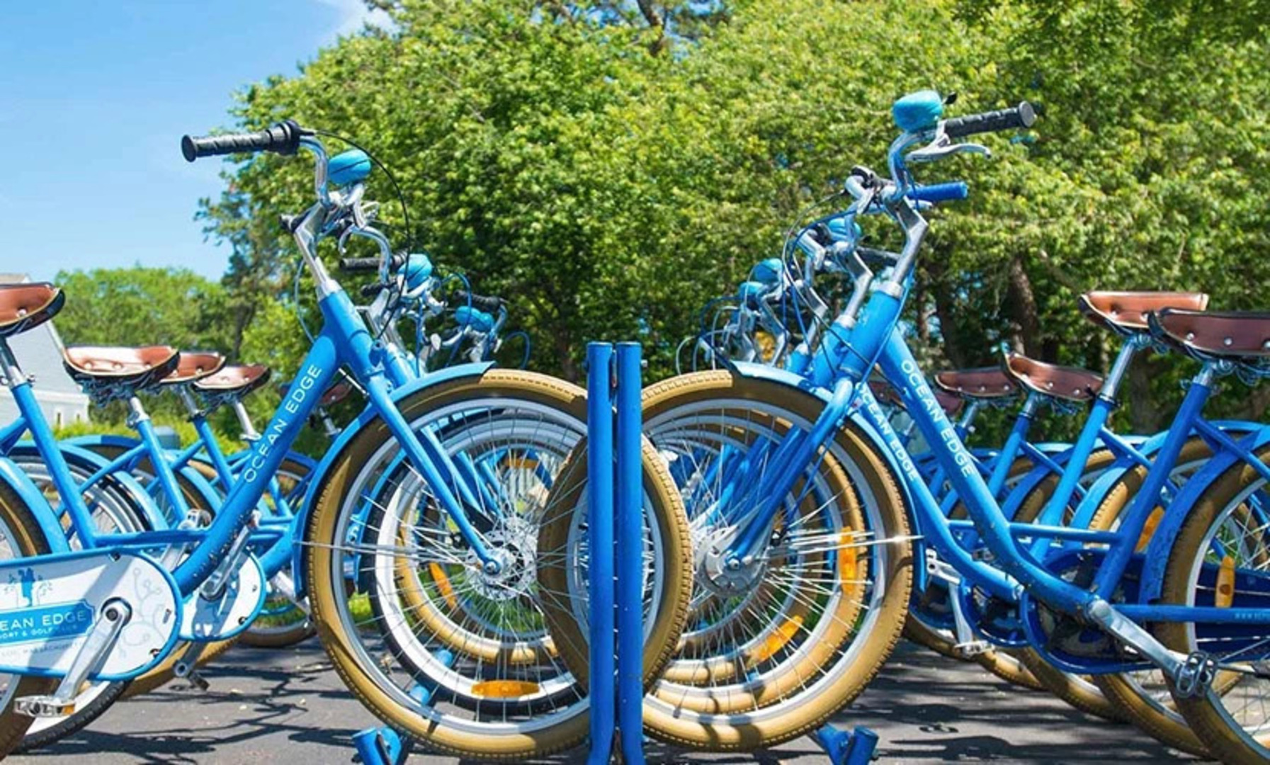 a group of blue bicycles
