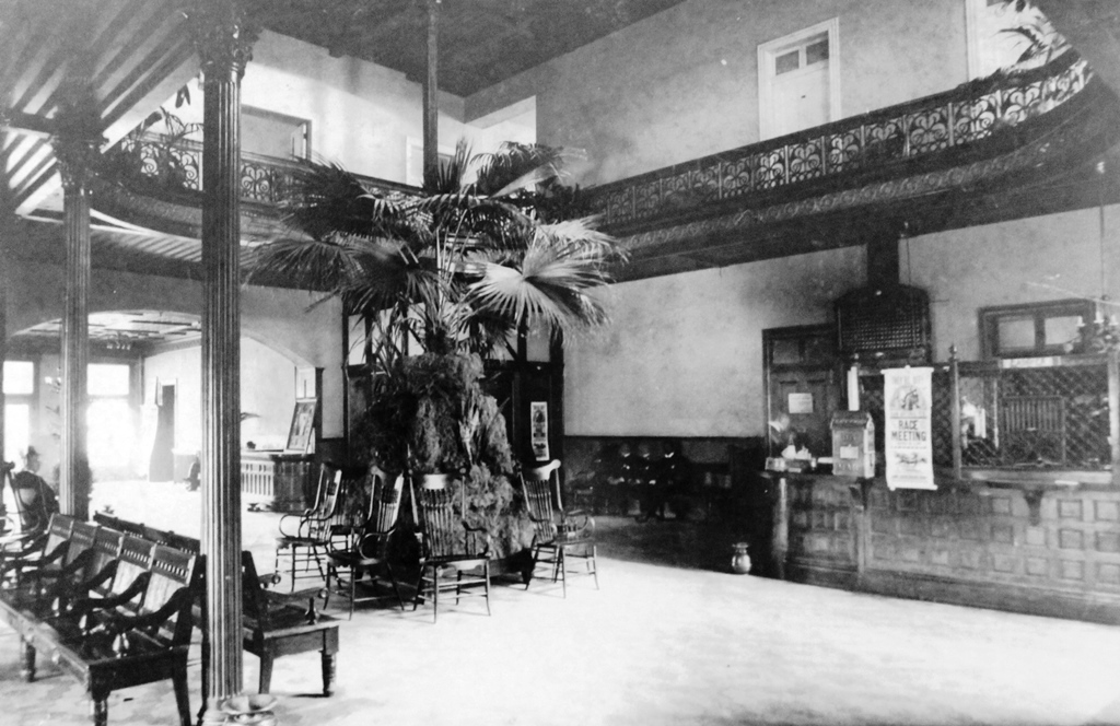 a room with a large tree and chairs