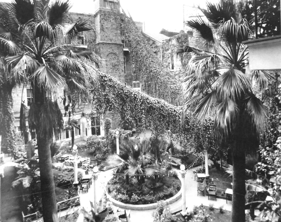 a courtyard with trees and plants