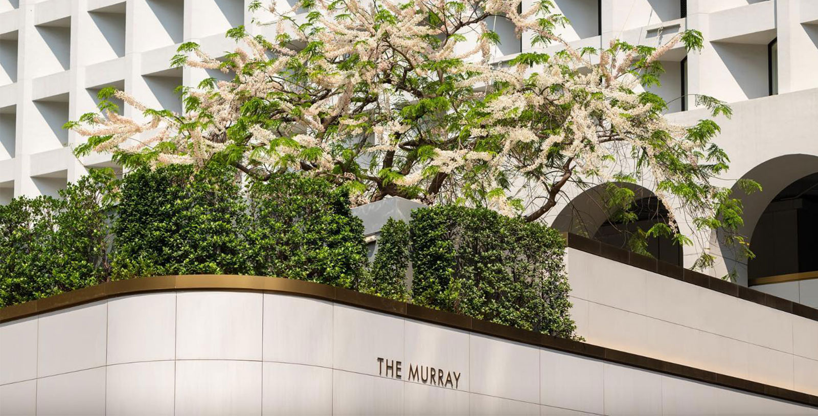 a tree with white flowers on top of a building