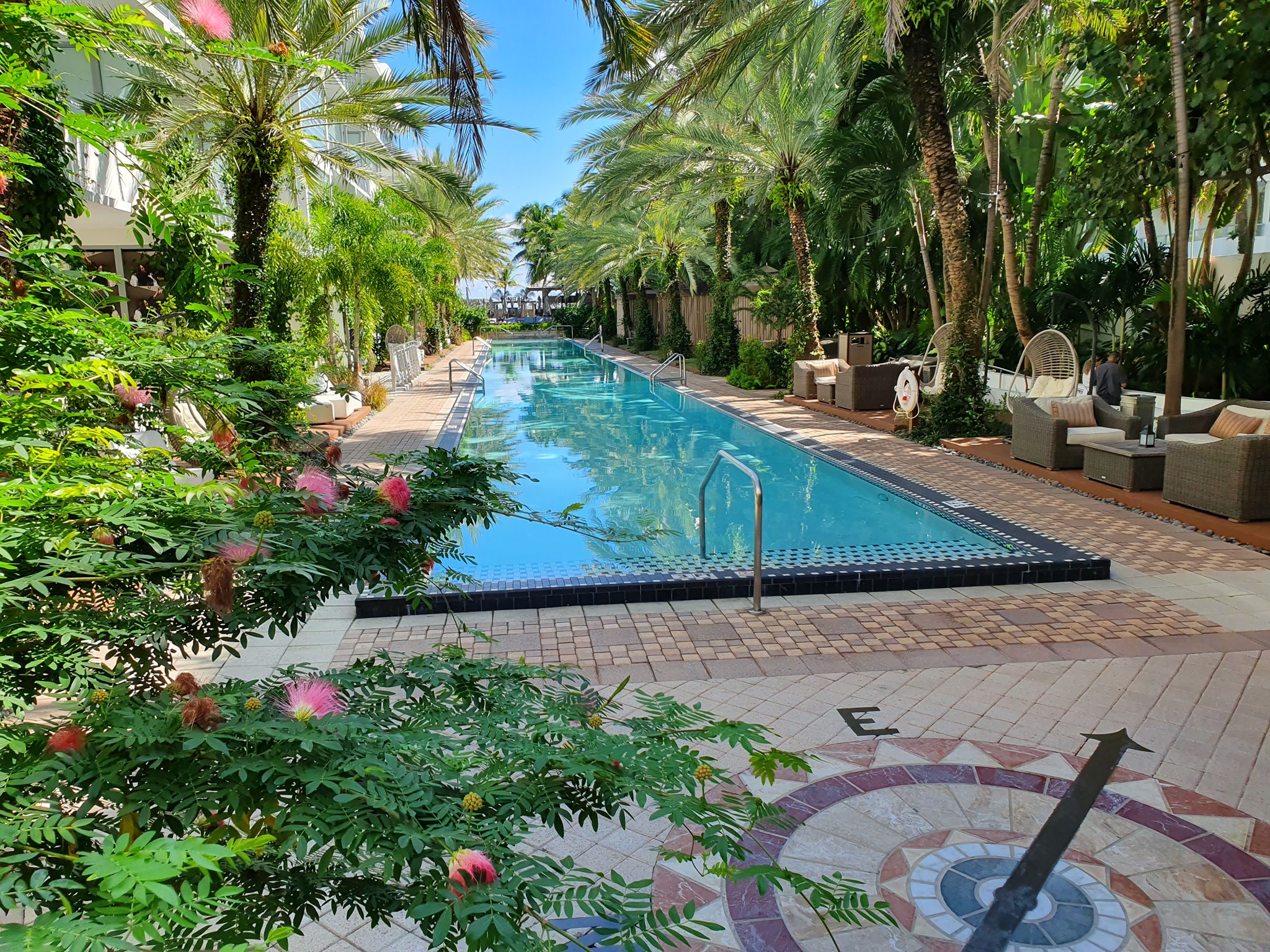 a pool with trees and plants around it