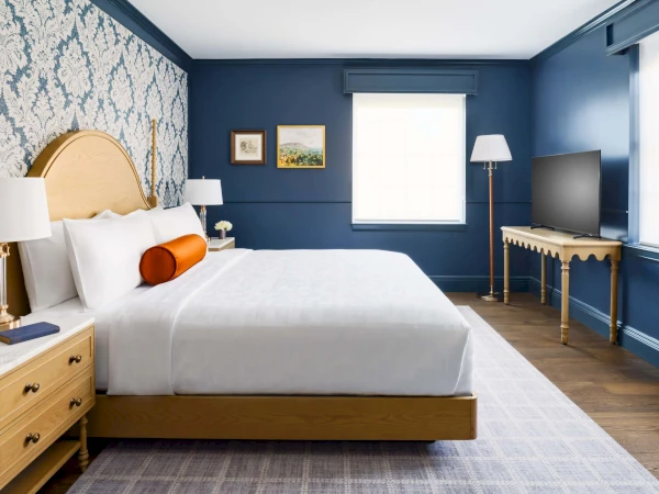 a bedroom with a bed and a tv