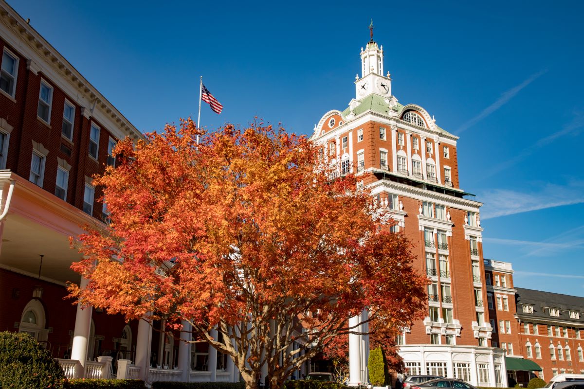 a tree with orange leaves in front of a building