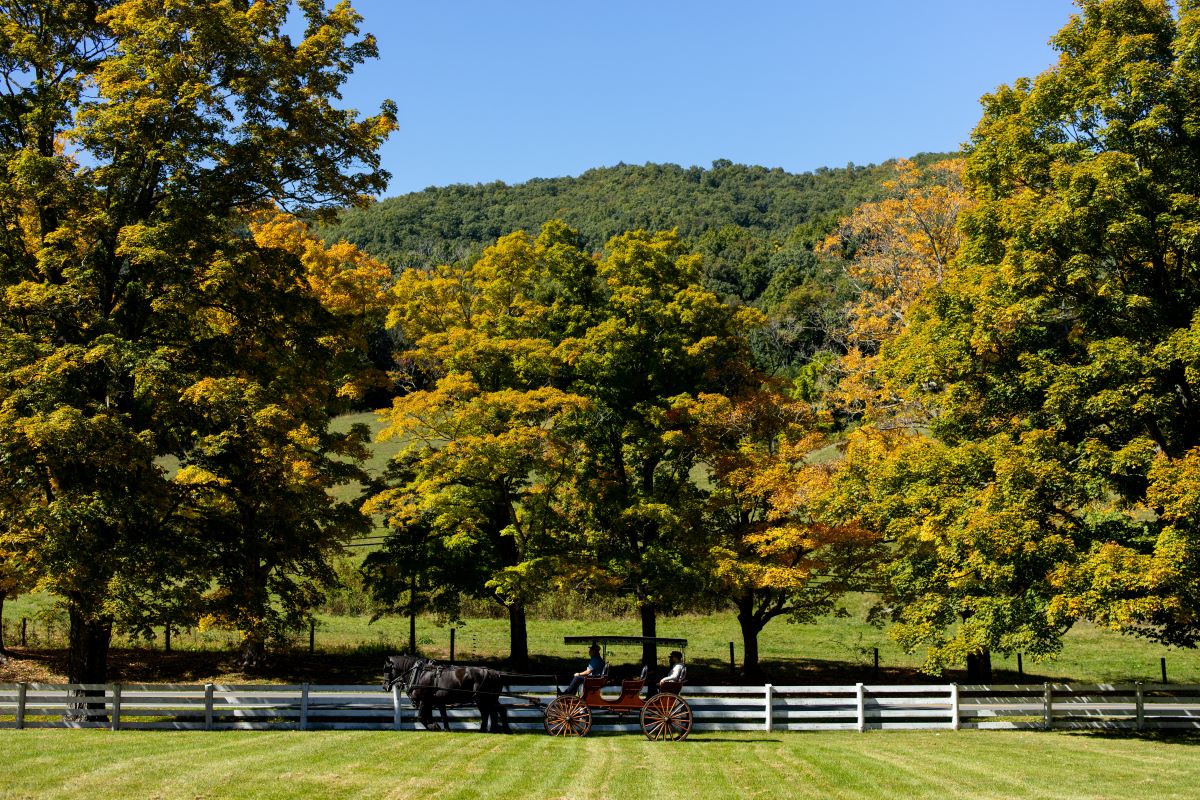 a horse drawn carriage with people on it
