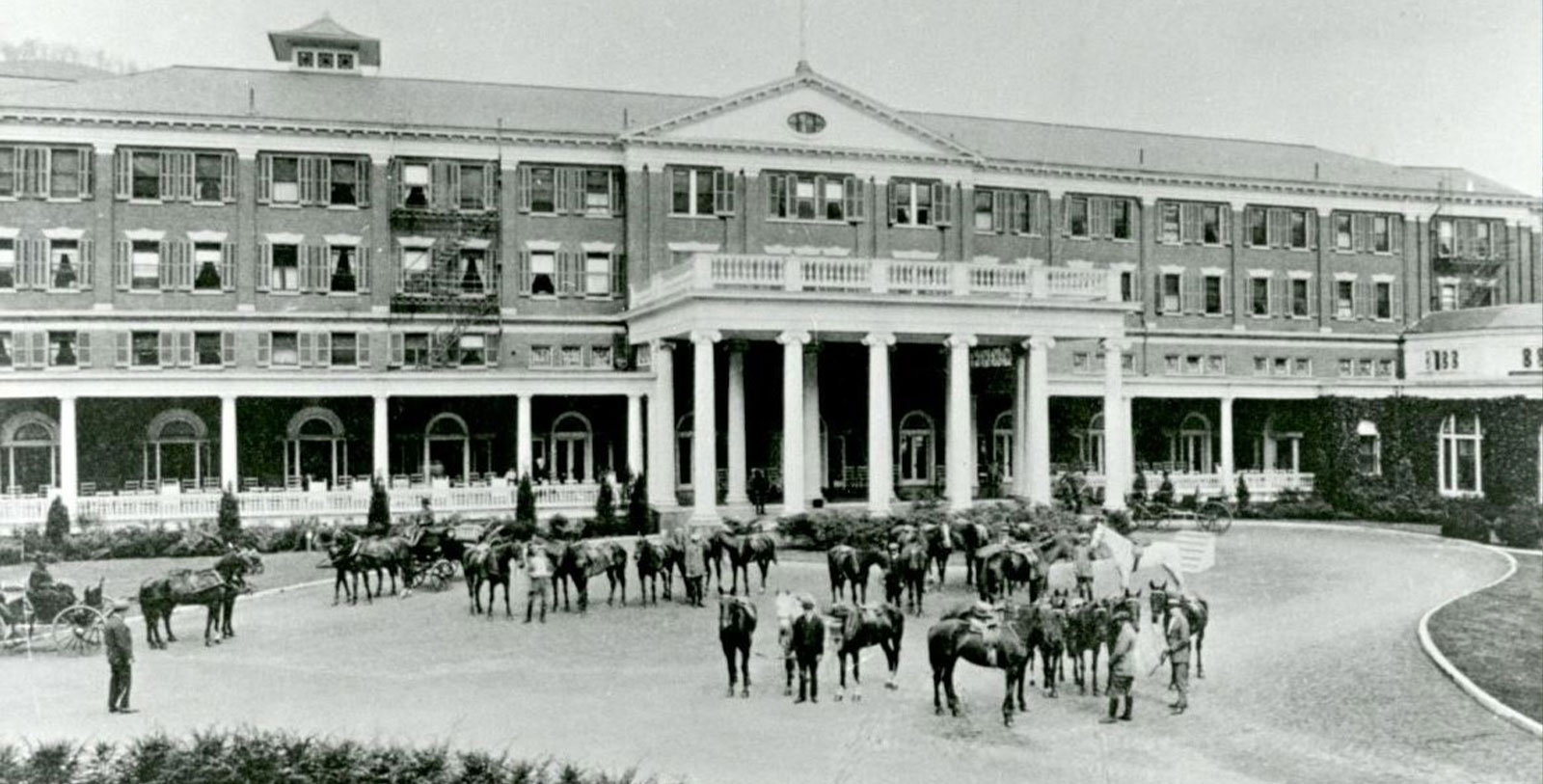 a group of horses in front of a building