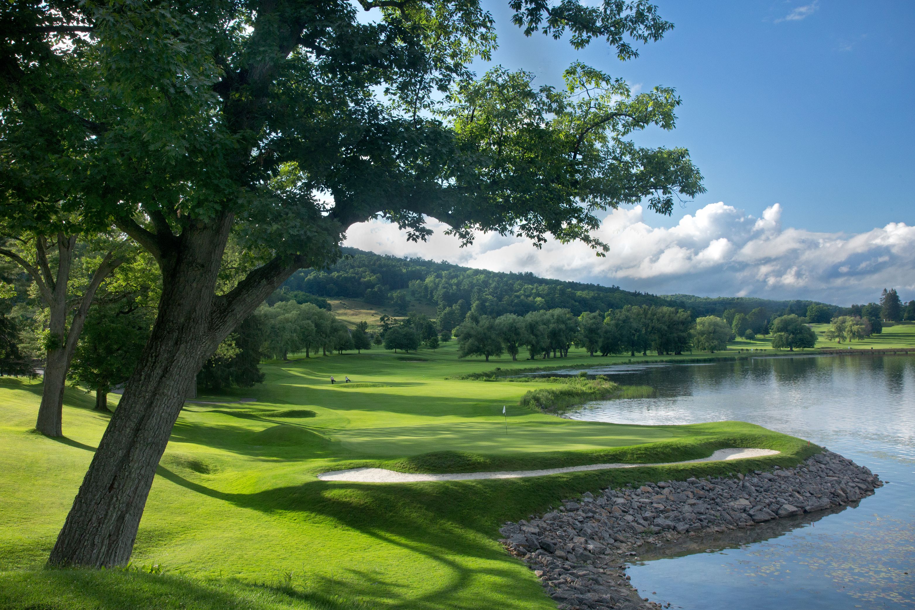 a golf course with a lake and trees