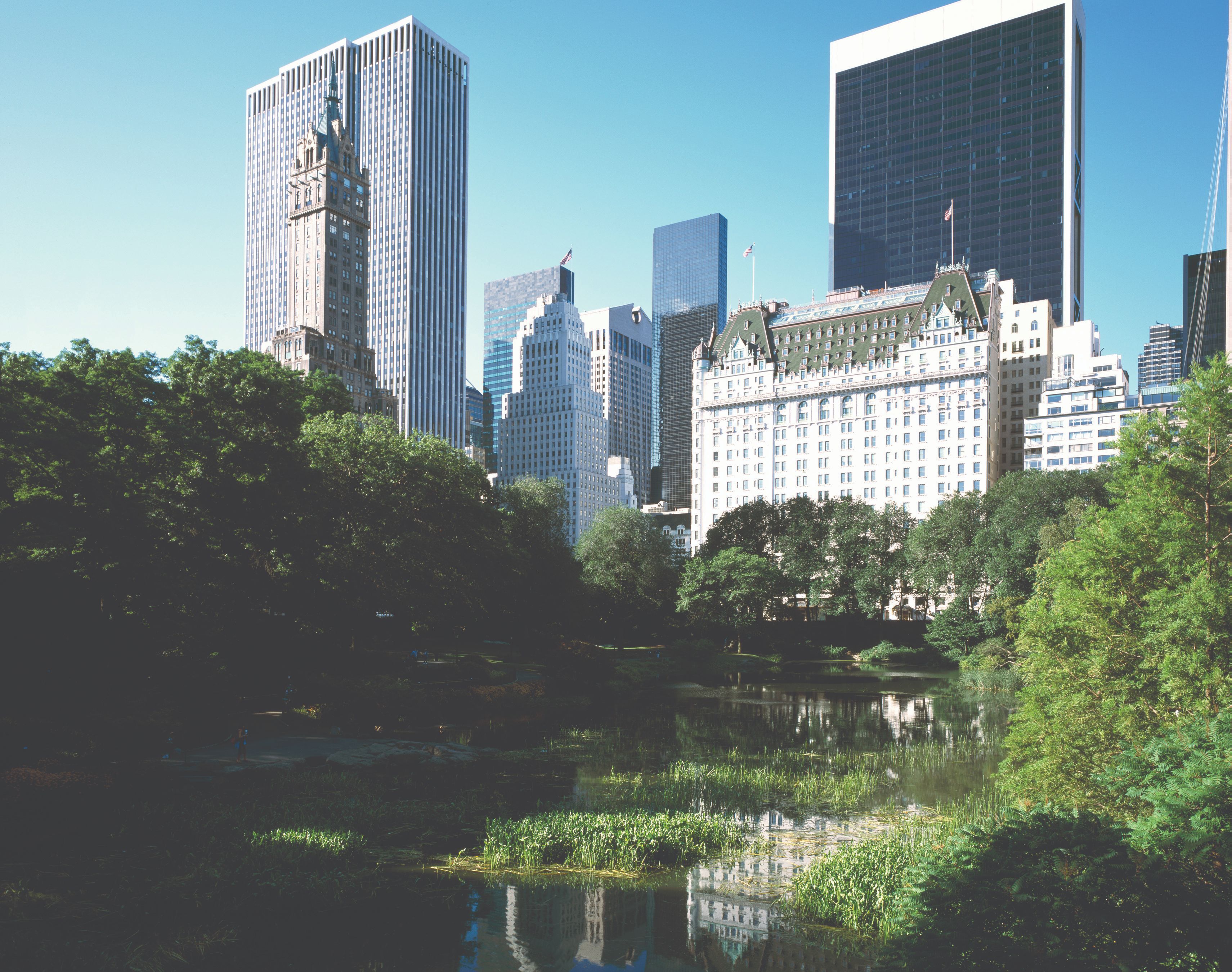 a city with tall buildings and trees