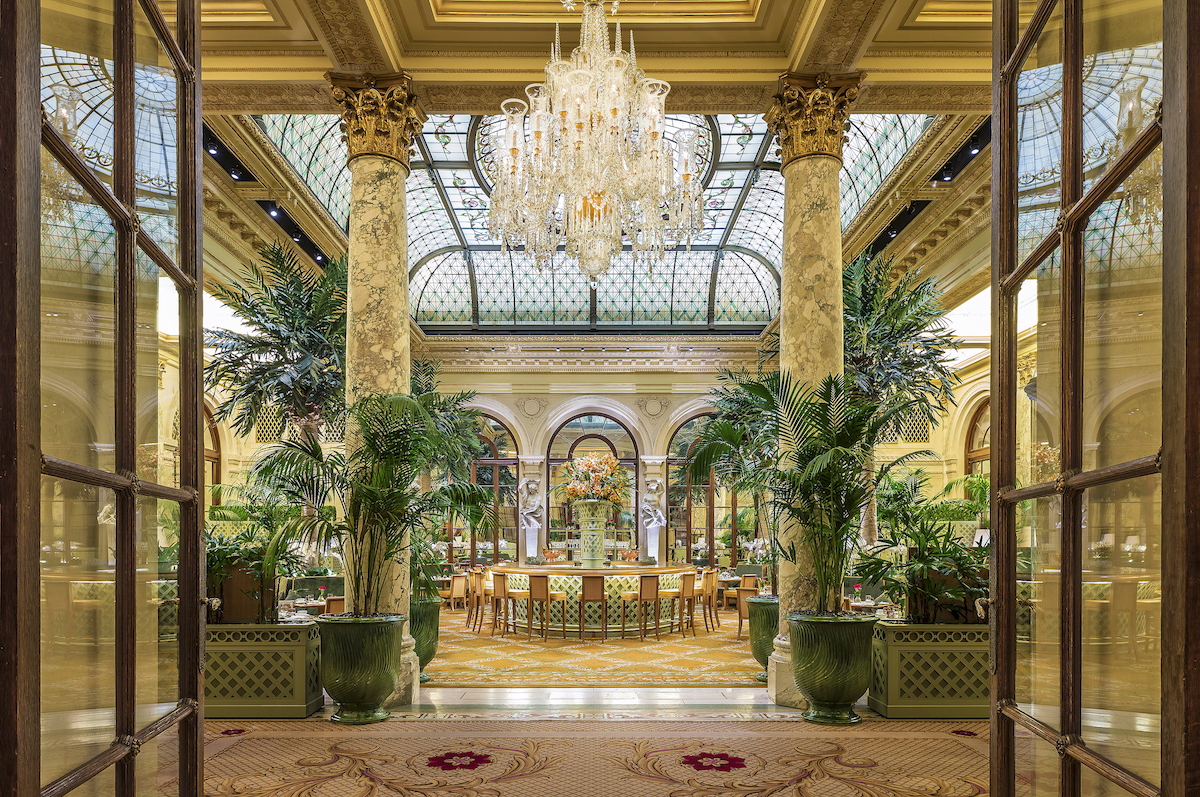 a room with a chandelier and plants