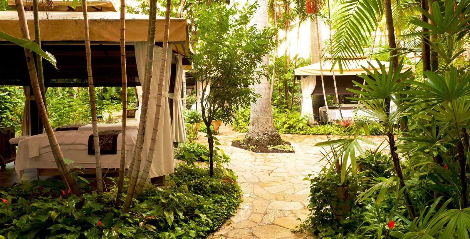 a walkway with trees and plants around it