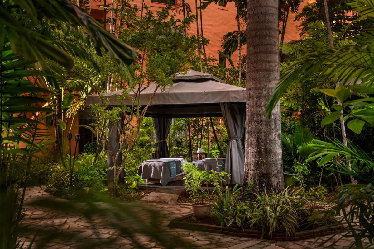 a canopy with beds under a tree
