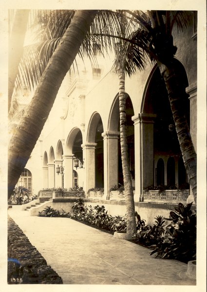 a walkway with palm trees and arches