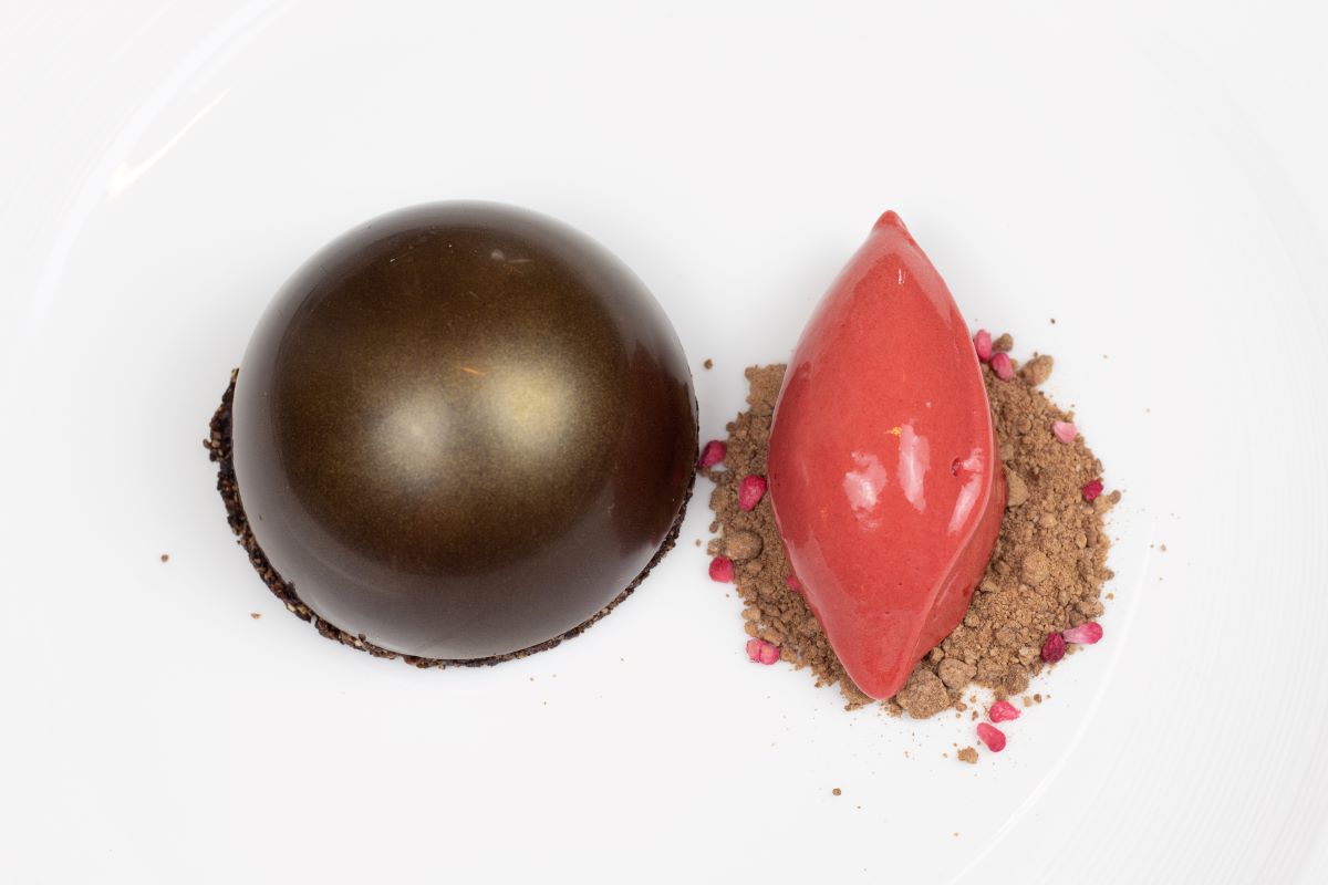 a chocolate and pink dessert on a white plate