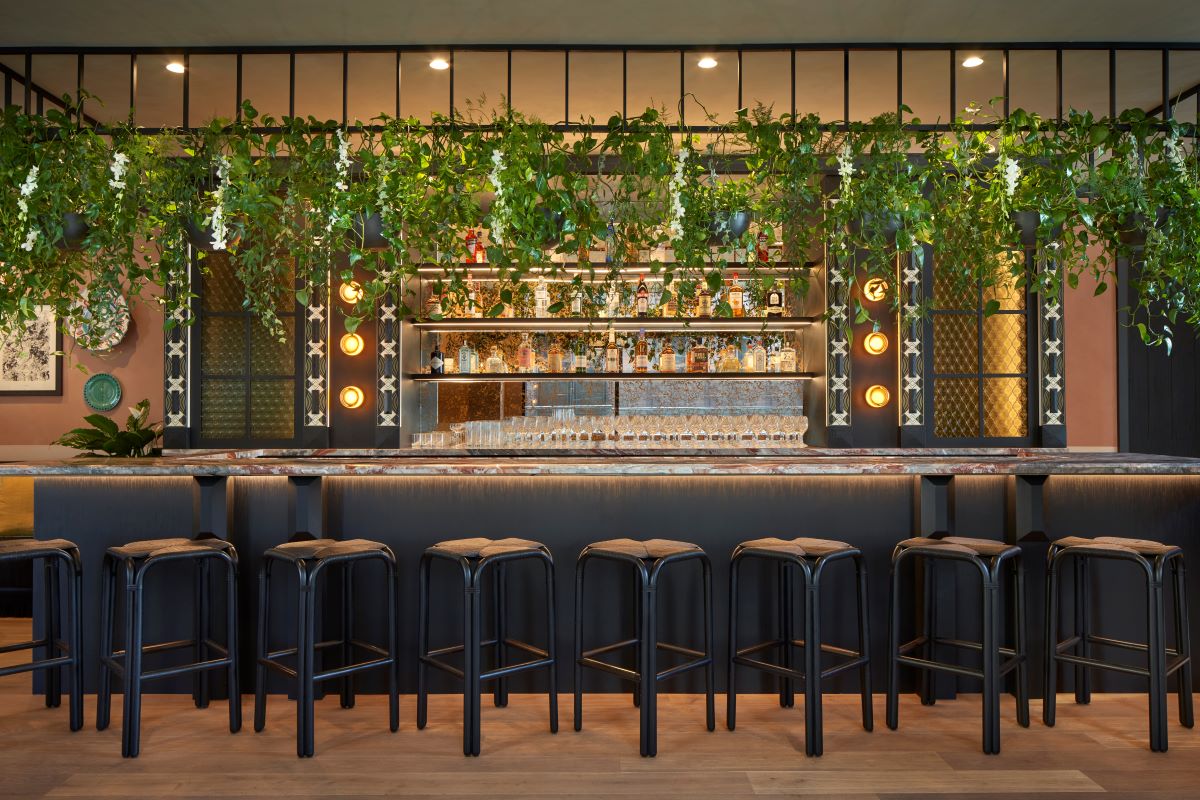 a bar with black stools and plants over it