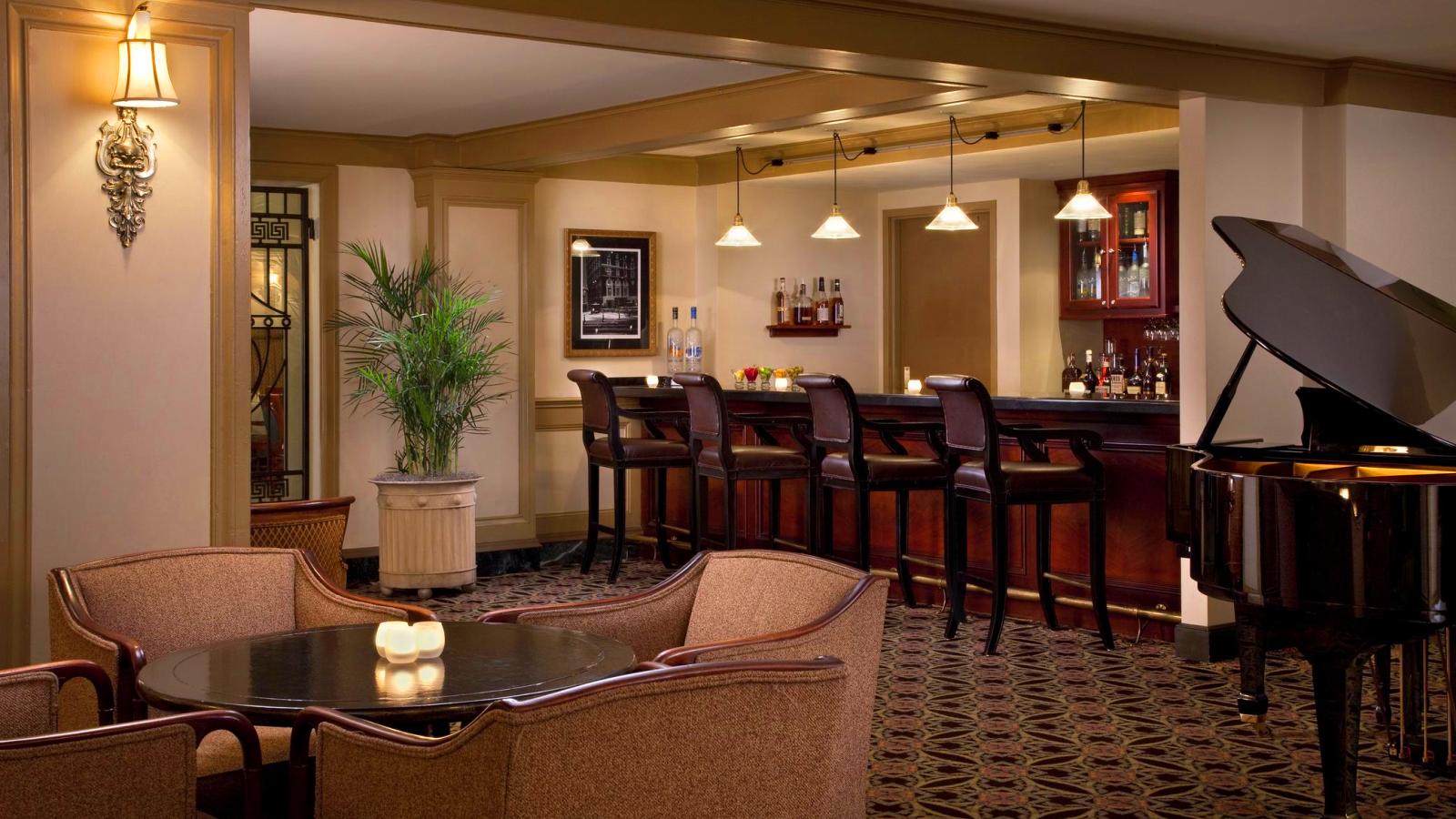 a bar with chairs and a plant in the middle