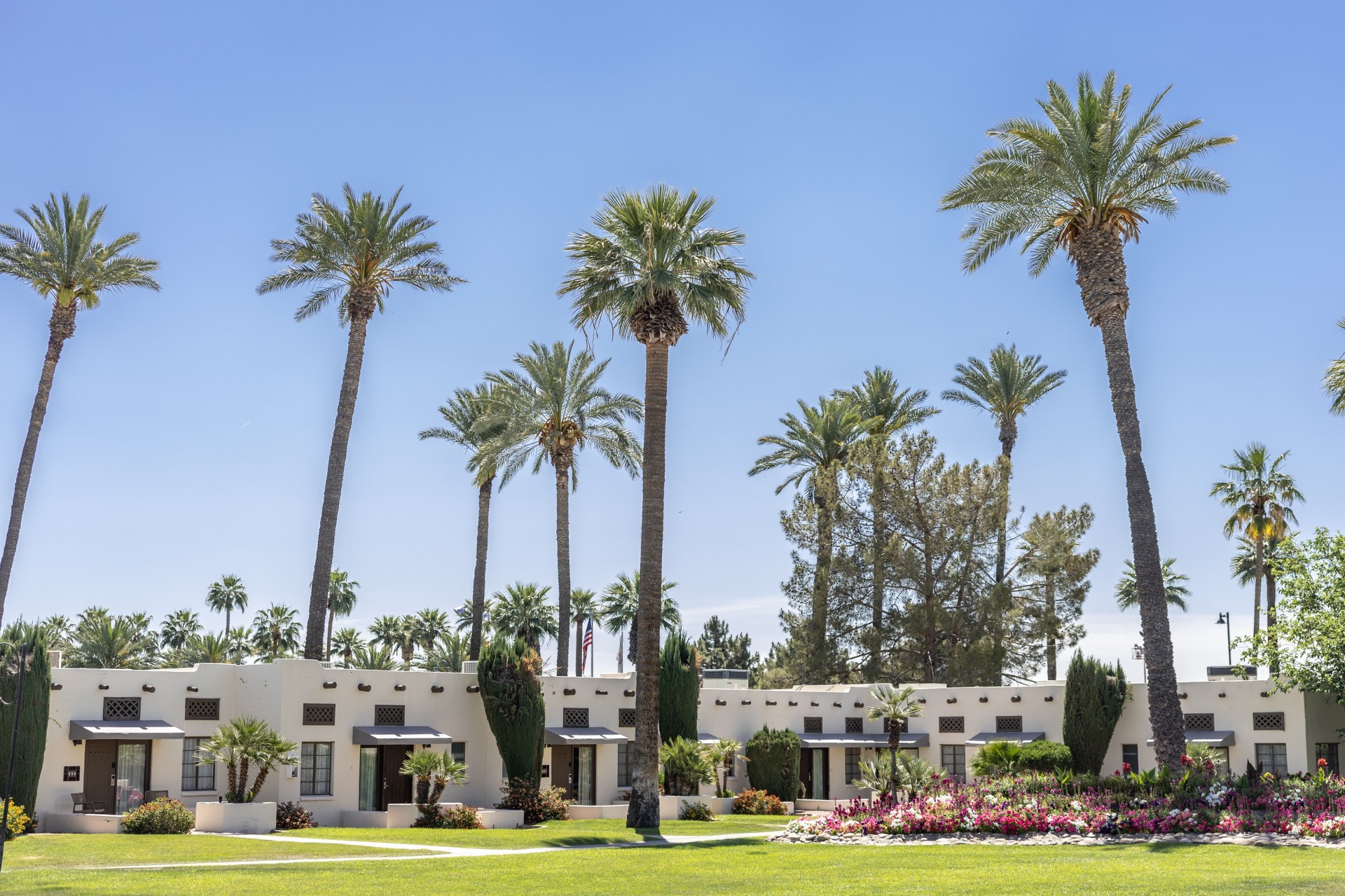 a building with palm trees and a lawn
